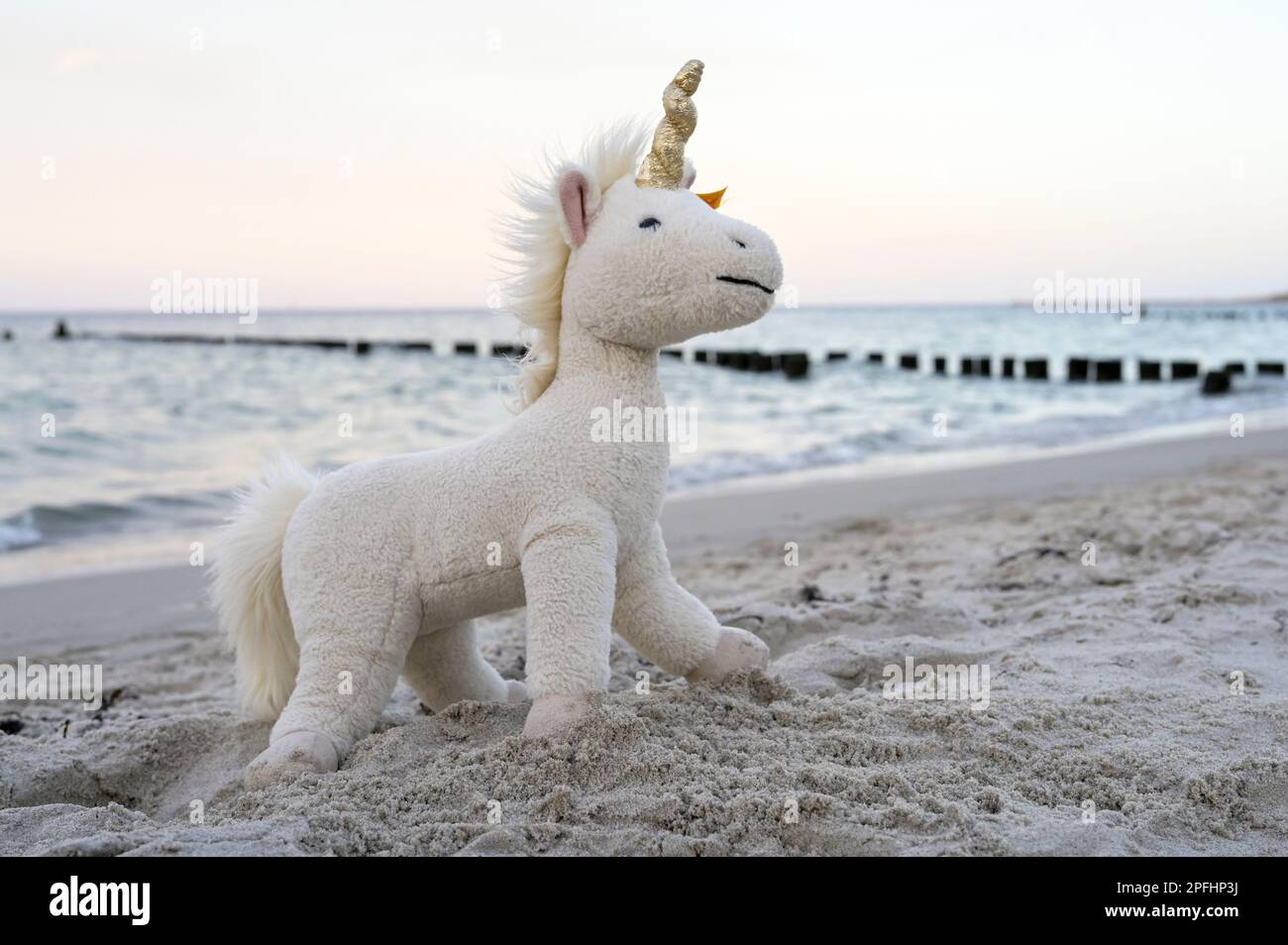 DEUTSCHLAND, Insel Rügen, ostsee, Spielzeug Unicorn am Strand, Unicorne ist ein mythisches Wesen / DEUTSCHLAND, Rügen, Ostsee Strand an der Schaabe, Buhnenreihe, Plüschtier Einhorn am Strand, das Fabelwesen Einhorn steht symbolisch für das Gute Stockfoto