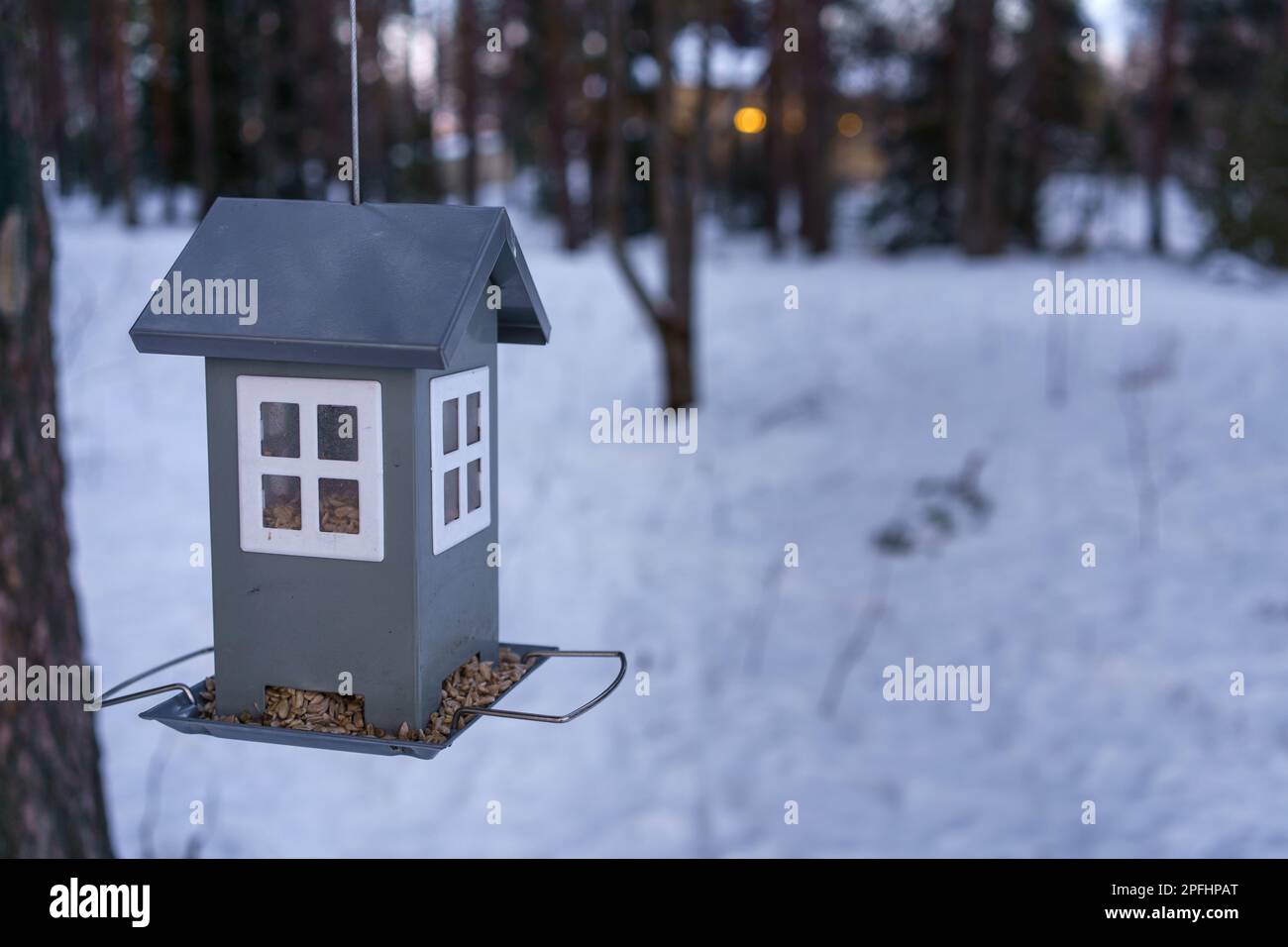 Hausförmige Vogelfütterung, im Winter im Freien. Stockfoto
