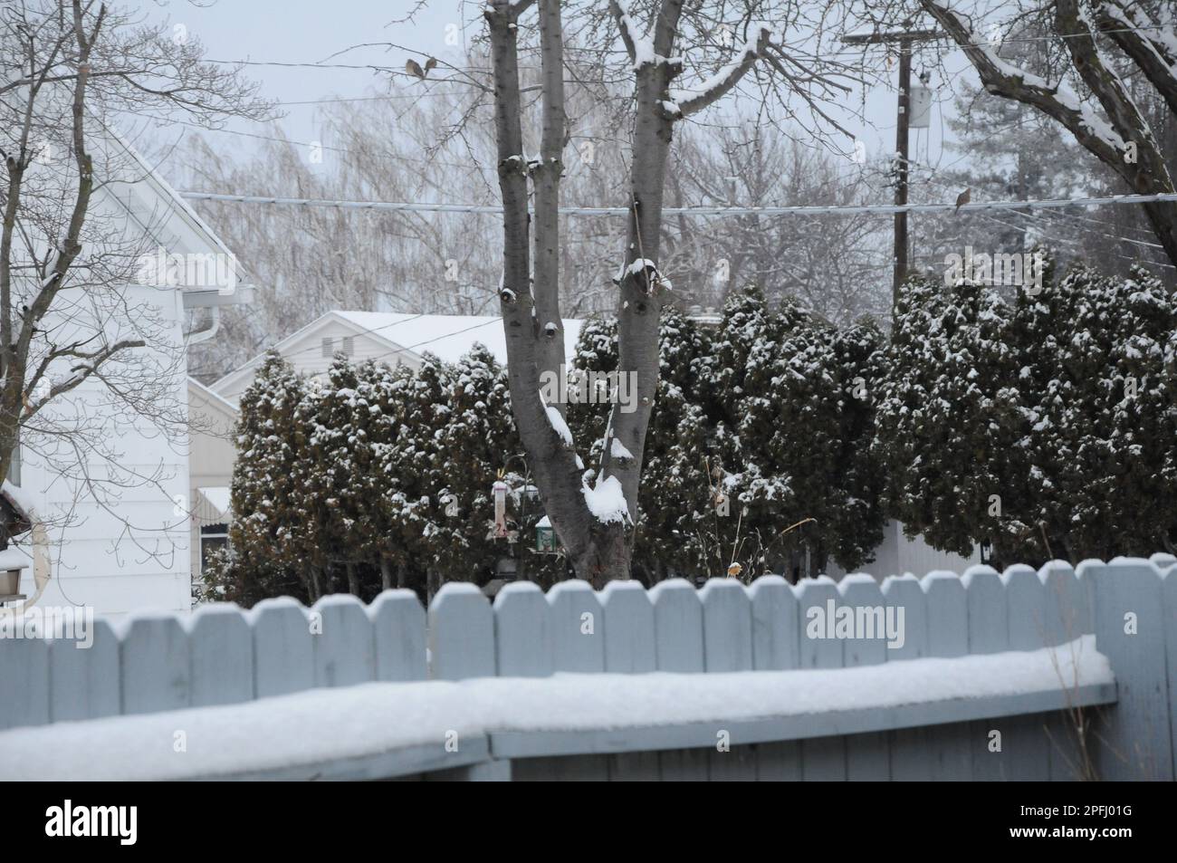 LEWISTON/IDAHO/USA 25.DEZEMBER 2017. Weißer weihnachtstag beacuse schweren Schneefall und Temperatur ist 27F fahrenheit kalten Tag in Herrscher Amerika. (Foto.Francis Joseph Dean / Deanpictures / Stockfoto