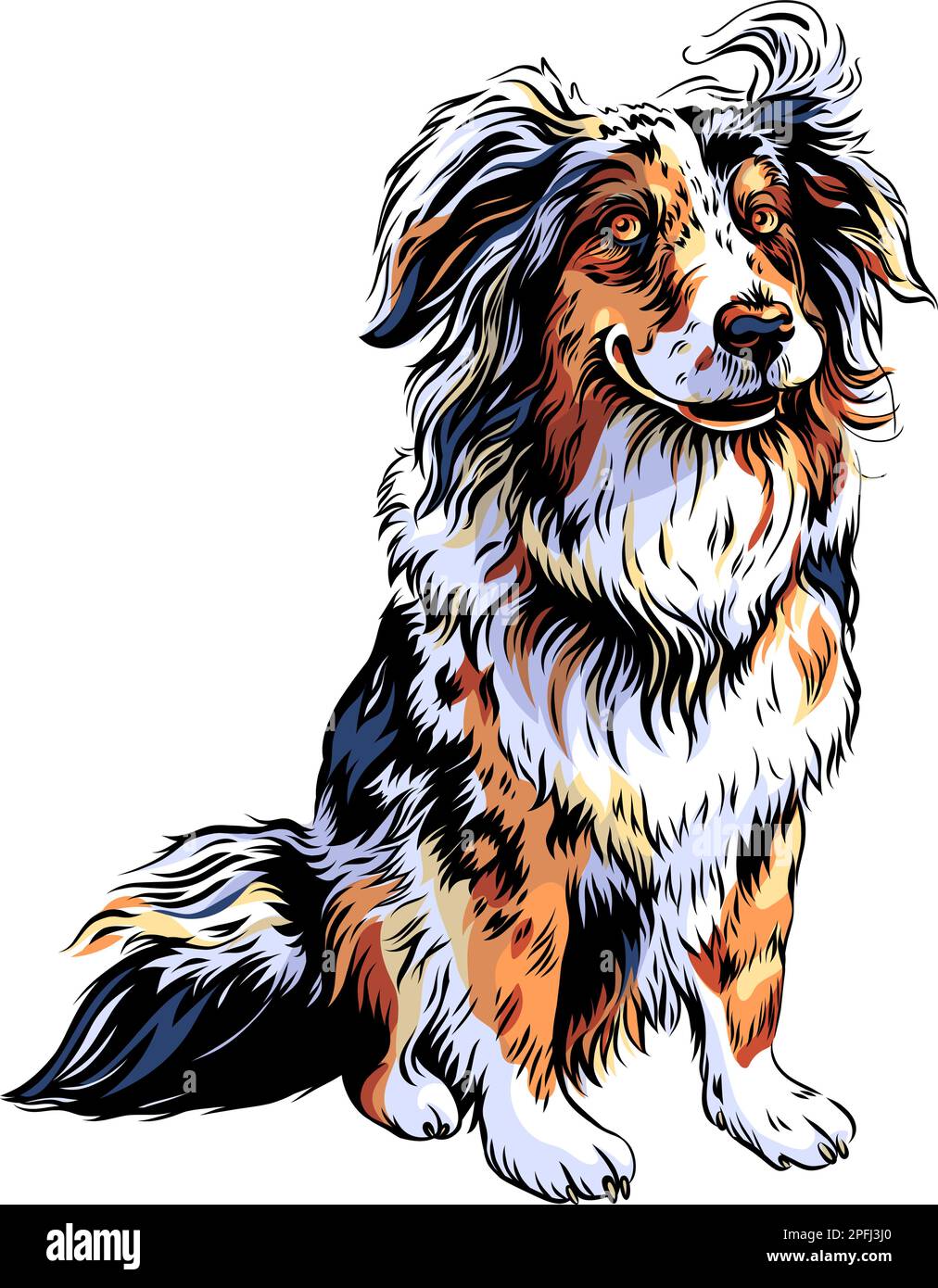 Farbskizze von Hund schwarz-weiß-Kupfer dreifarbig australische Schäferrasse, australischer oder kleiner blauer Hund Stock Vektor