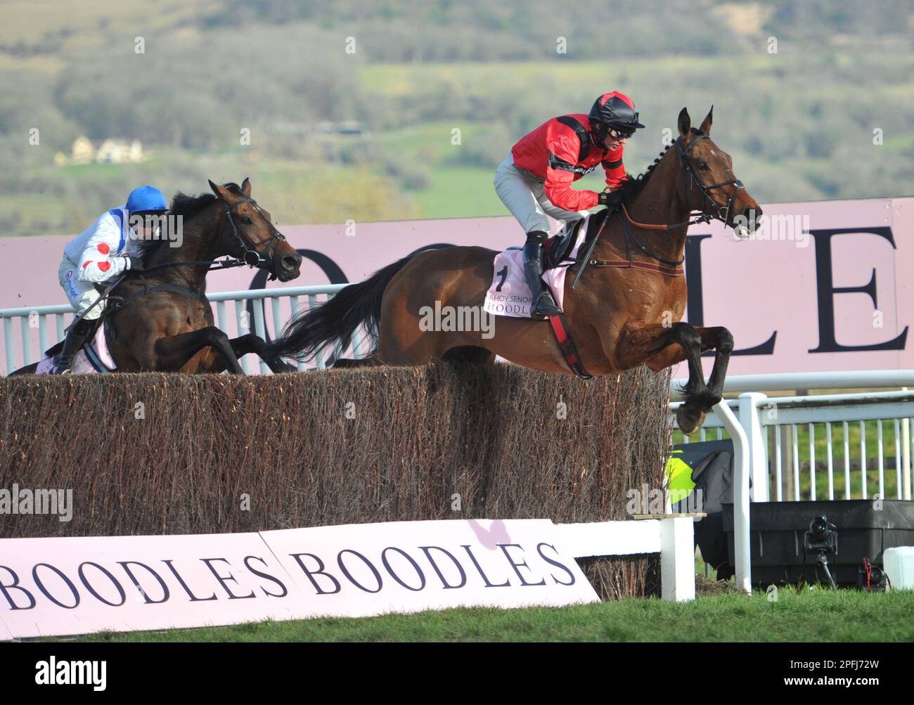 Boodles Cheltenham Gold Cup Ahoy Senor geritten von Derek Fox führt auf der zweiten Rennstrecke in Cheltenham Racecourse am 4. Tag des Finales an Stockfoto