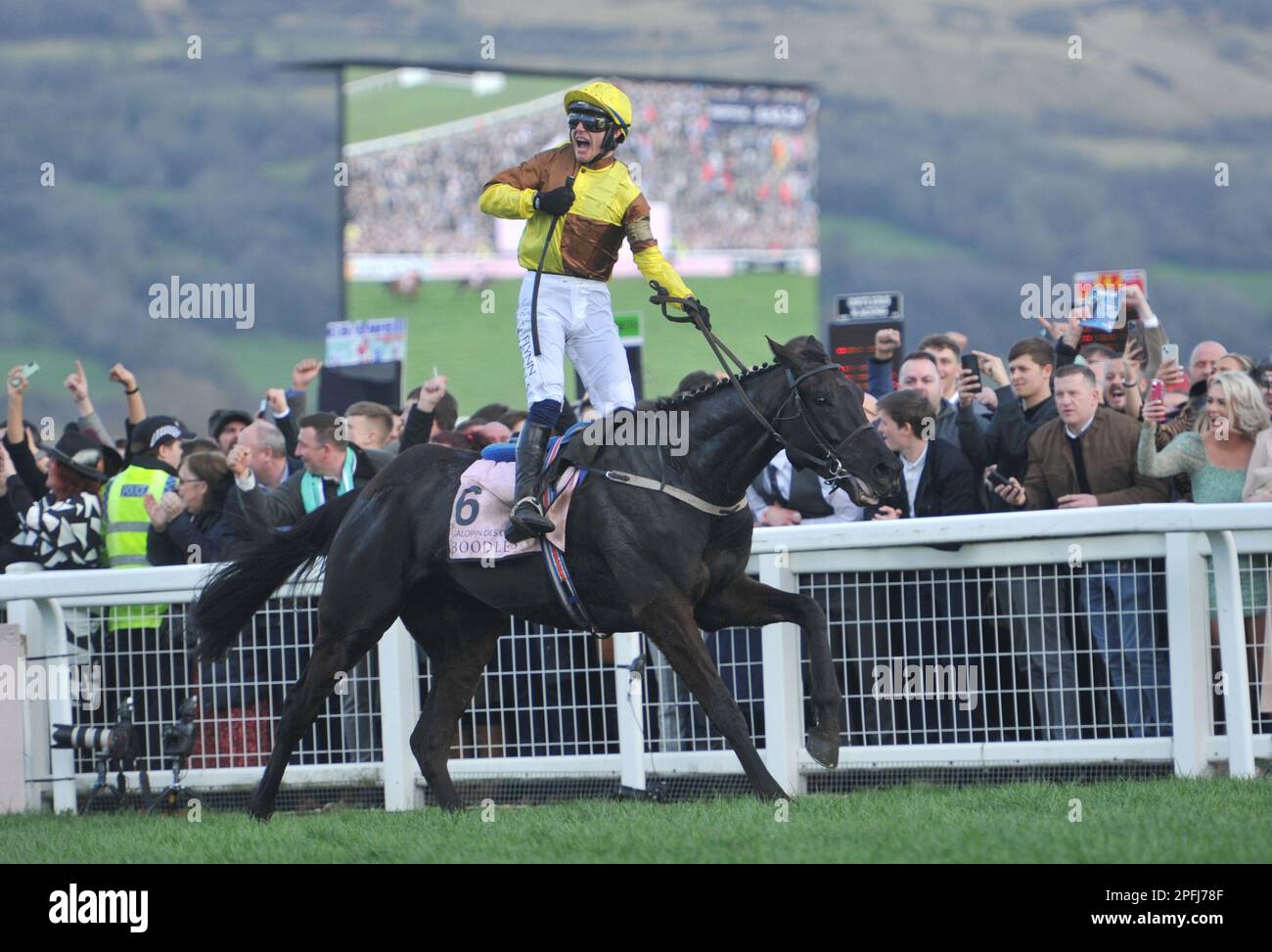 Galopin des Champs RiRiRidden by Paul Townend überquert die Ziellinie auf dem ersten Platz des Pferderennens in Cheltenh Stockfoto