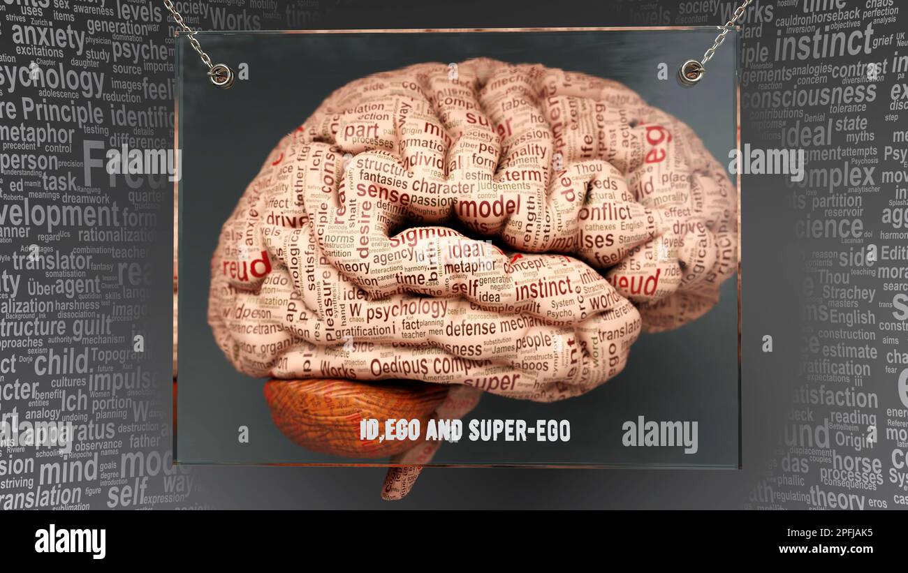 ID Ich und Super-Ich im menschlichen Gehirn - Dutzende von Begriffen, die seine Eigenschaften beschreiben, über dem Hirnrinde gemalt, um seine Verbindung zum Geist zu symbolisieren. Stockfoto