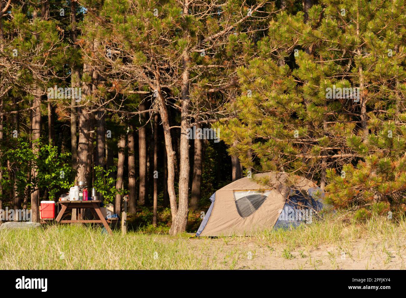 Ein kleines Zelt und ein Picknick-Tisch mit Campingausrüstung befinden sich inmitten von Bäumen am Rande des Strandes im Lake Superior Provincial Park, Ontario, Kanada. Stockfoto