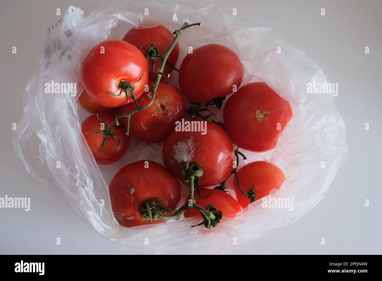 Einige faule Tomaten und einige unberührte Tomaten befinden sich in einem durchsichtigen Plastikbeutel auf einer weißen Küchenarbeitsfläche. Stockfoto