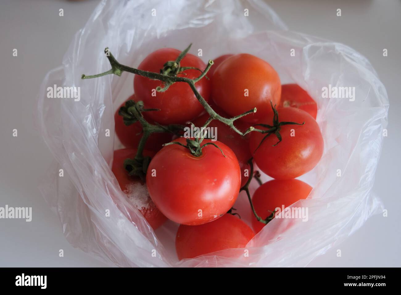 Einige faule Tomaten und einige unberührte Tomaten befinden sich in einem durchsichtigen Plastikbeutel auf einer weißen Küchenarbeitsfläche. Stockfoto