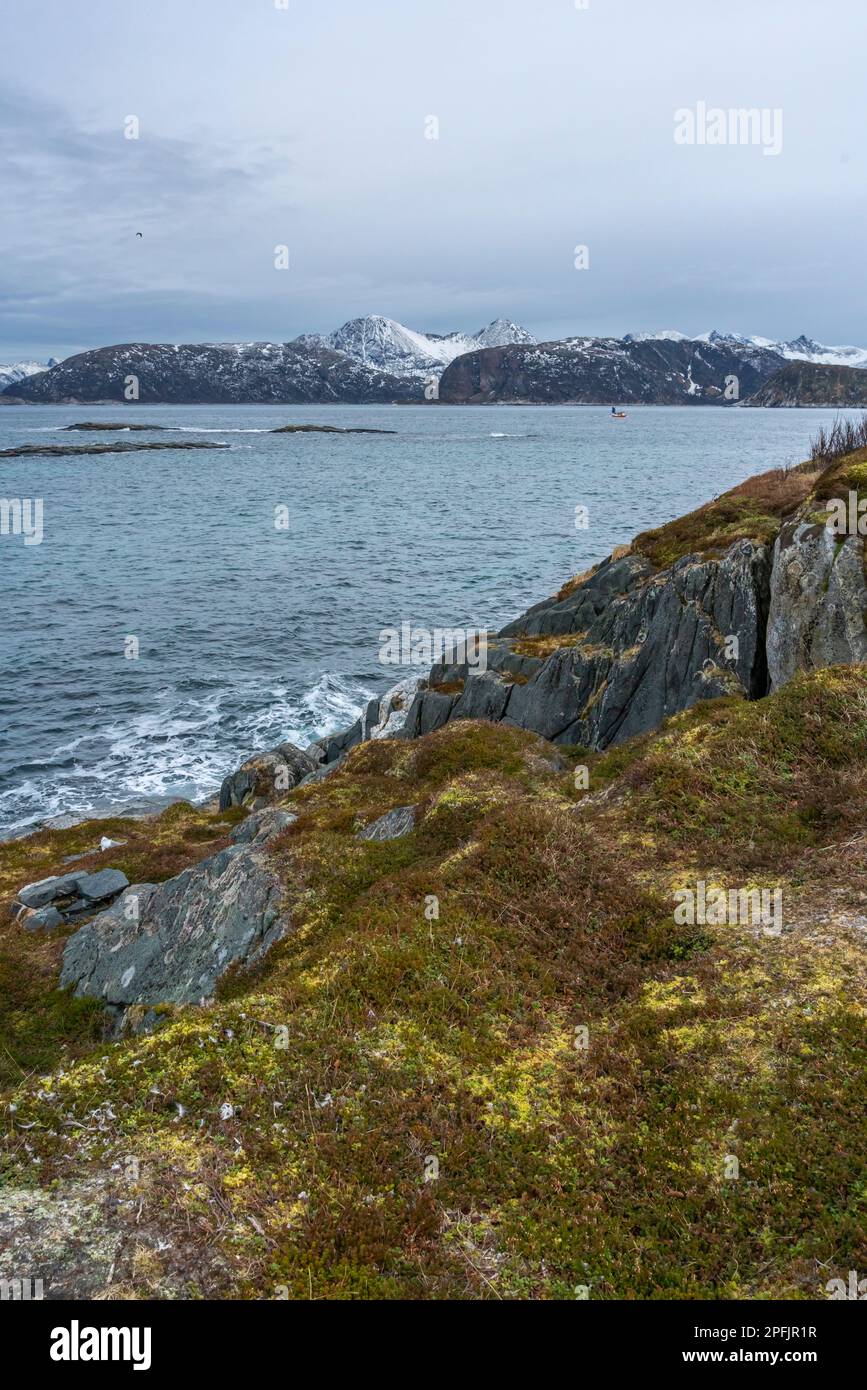 Stürmischer Ozean am Ufer von Hillesøya, in Troms, Norwegen, mit Wellen an der Küste kleiner Inseln, mit schneebedeckten Bergen im Hintergrund. Stockfoto