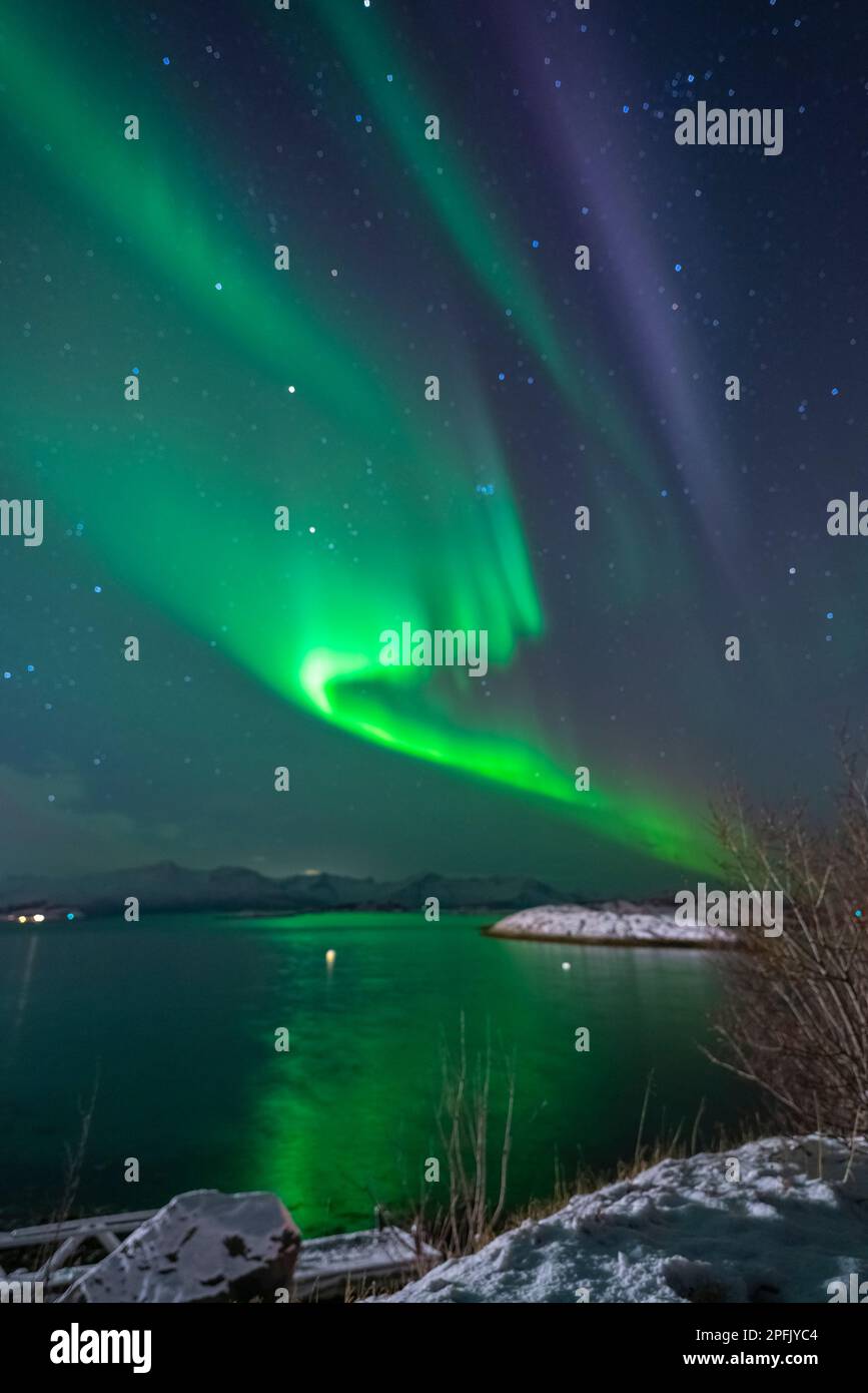 Farbige, tanzende Aurora Borealis über der Insel vor Troms, Norwegen. Wunderbarer Nordlichter über dem Dorf Hillesøy. Polarlicht spiegelt sich im Meer Stockfoto