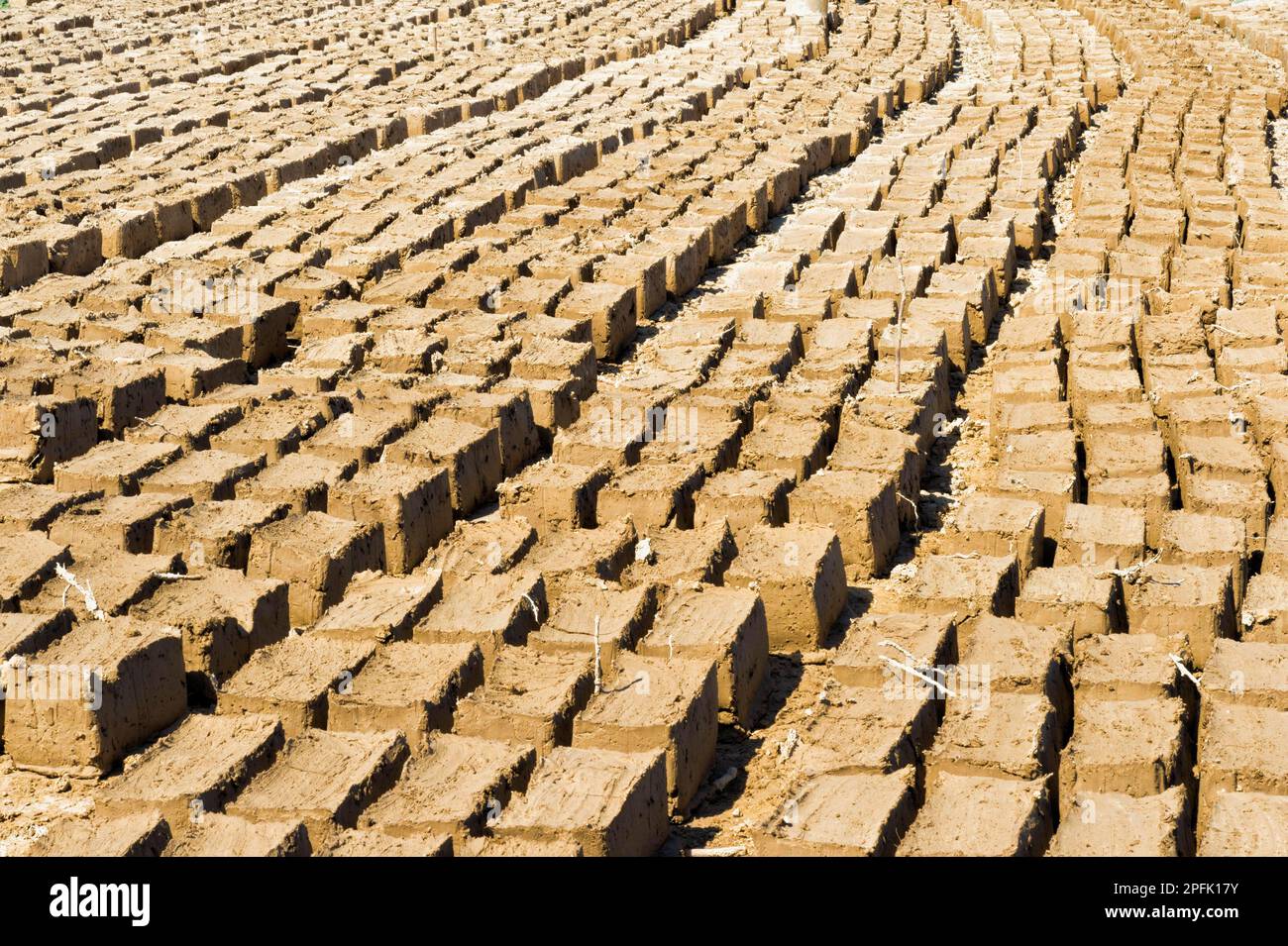 Tonziegel, Muster, Turkistan, Südregion, Kasachstan Stockfoto