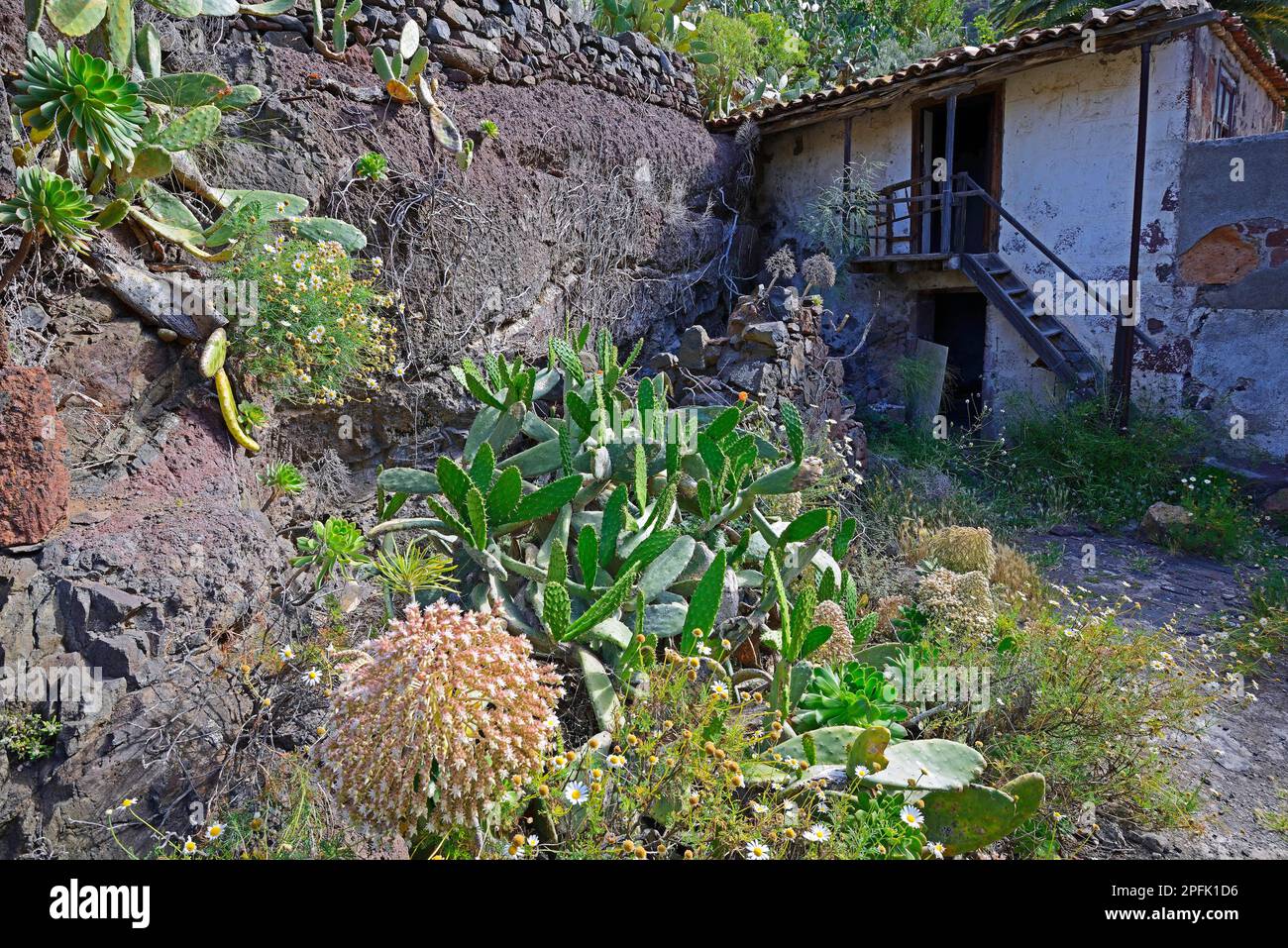 Morbider Charme verfallener Gebäude in einsamen Bergdorf, Masca, Teno, Teneriffa, Kanarischen Inseln, Spanien Stockfoto