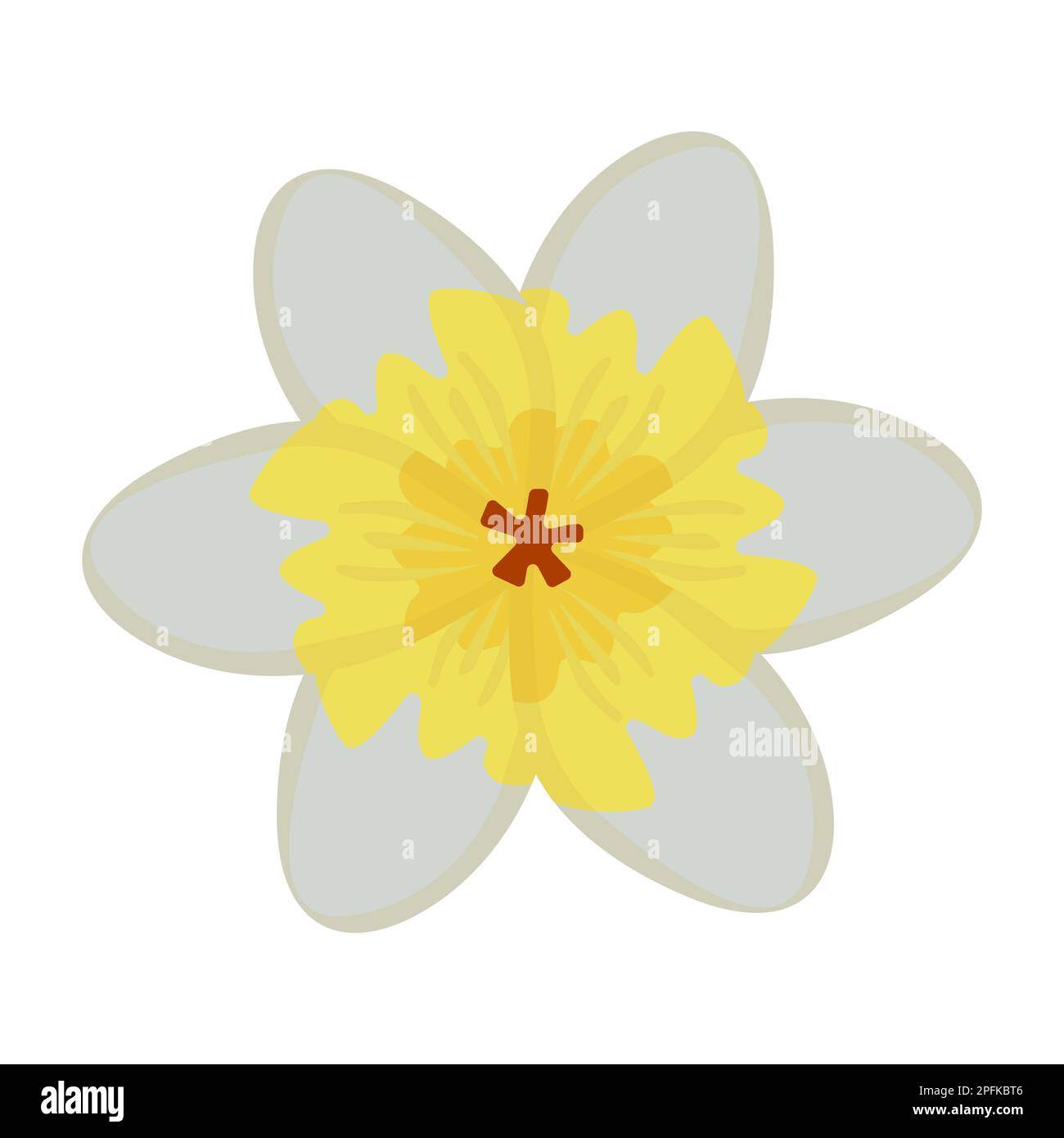 Einzelne Jasminblume, farbenfrohe Illustration Stock Vektor