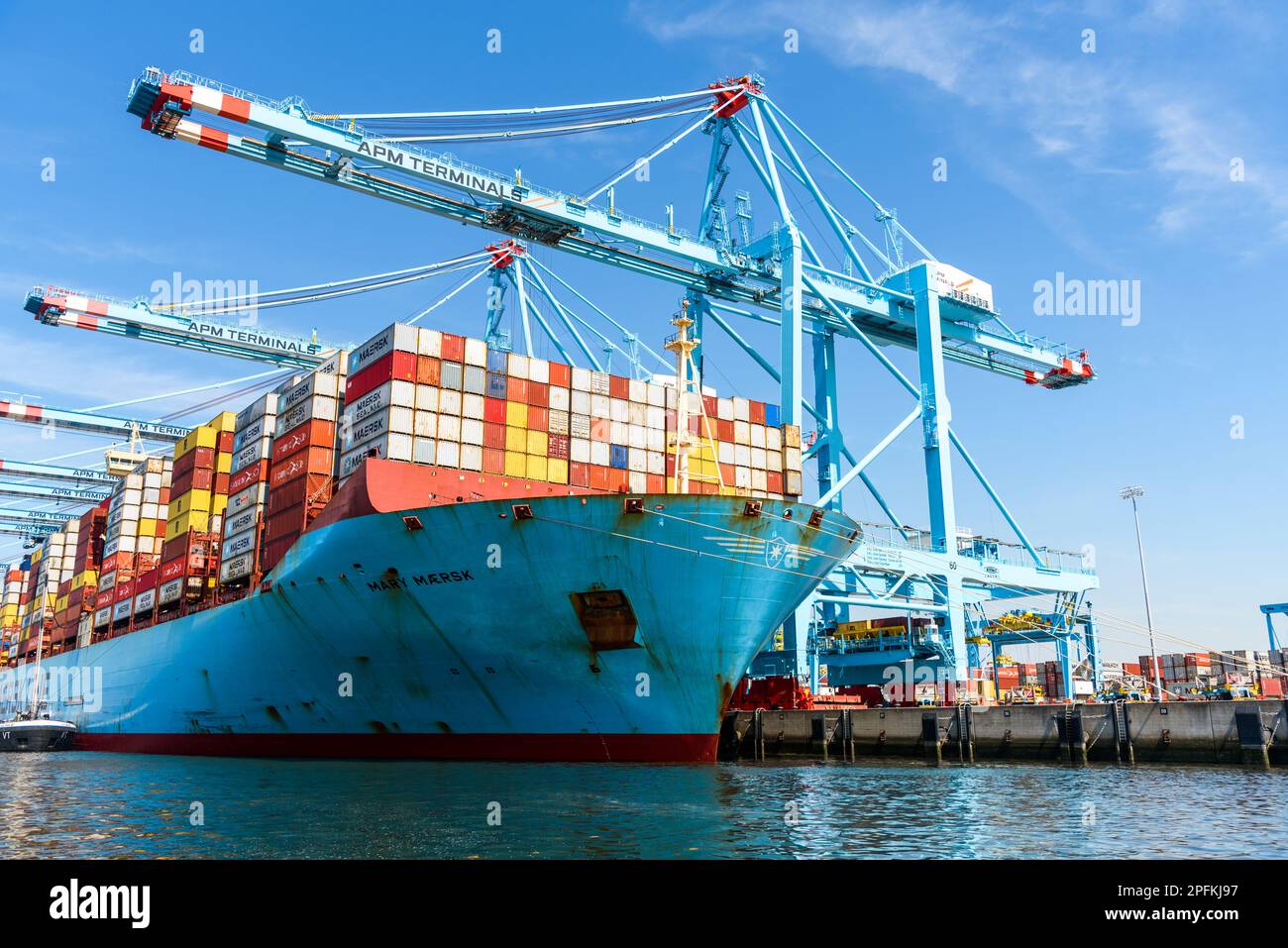 Rotterdam, Niederlande - 16. Juni 2022: Containerschiff Mary Maersks, das an APM-Containerterminals im Hafen Maasvlakte 2 in Rotterdam angedockt ist Stockfoto