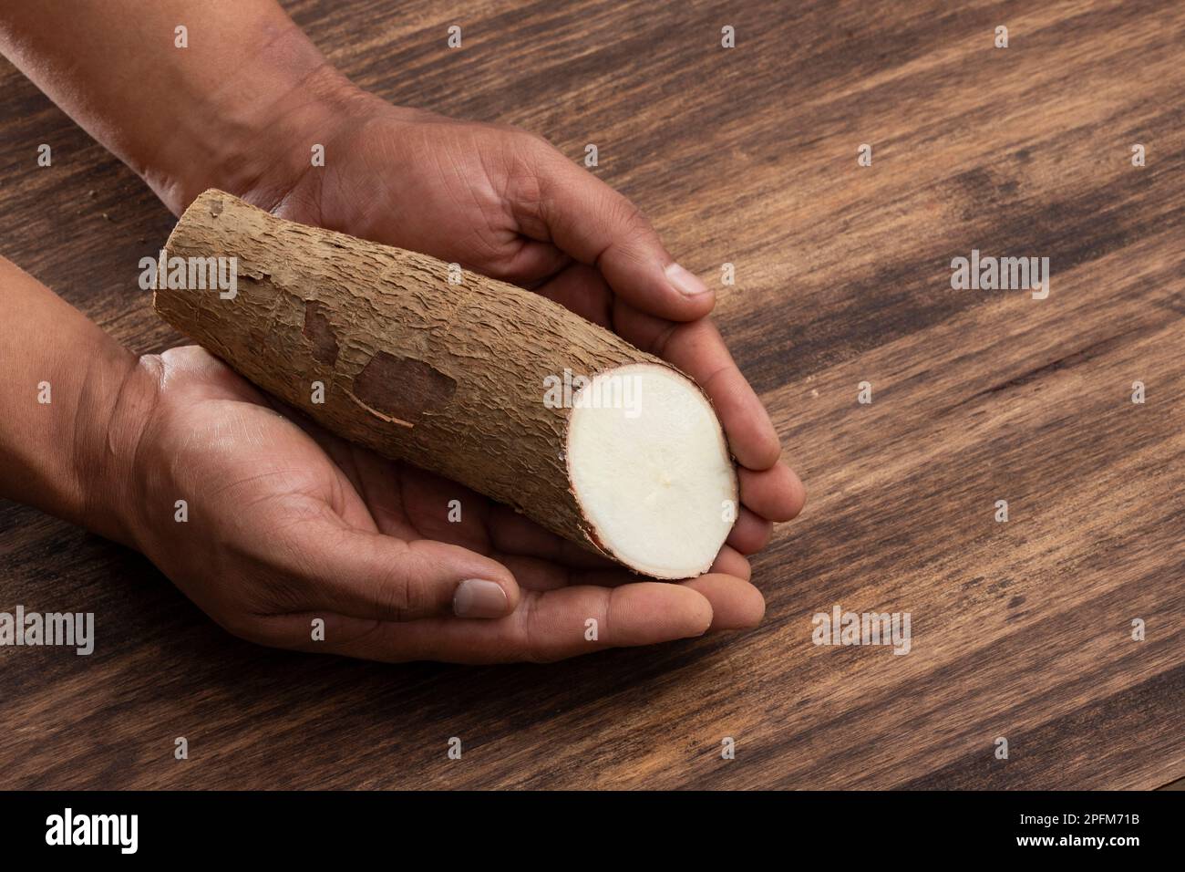 Manihot Esculenta – Frische Organische Kassava-Wurzel Stockfoto