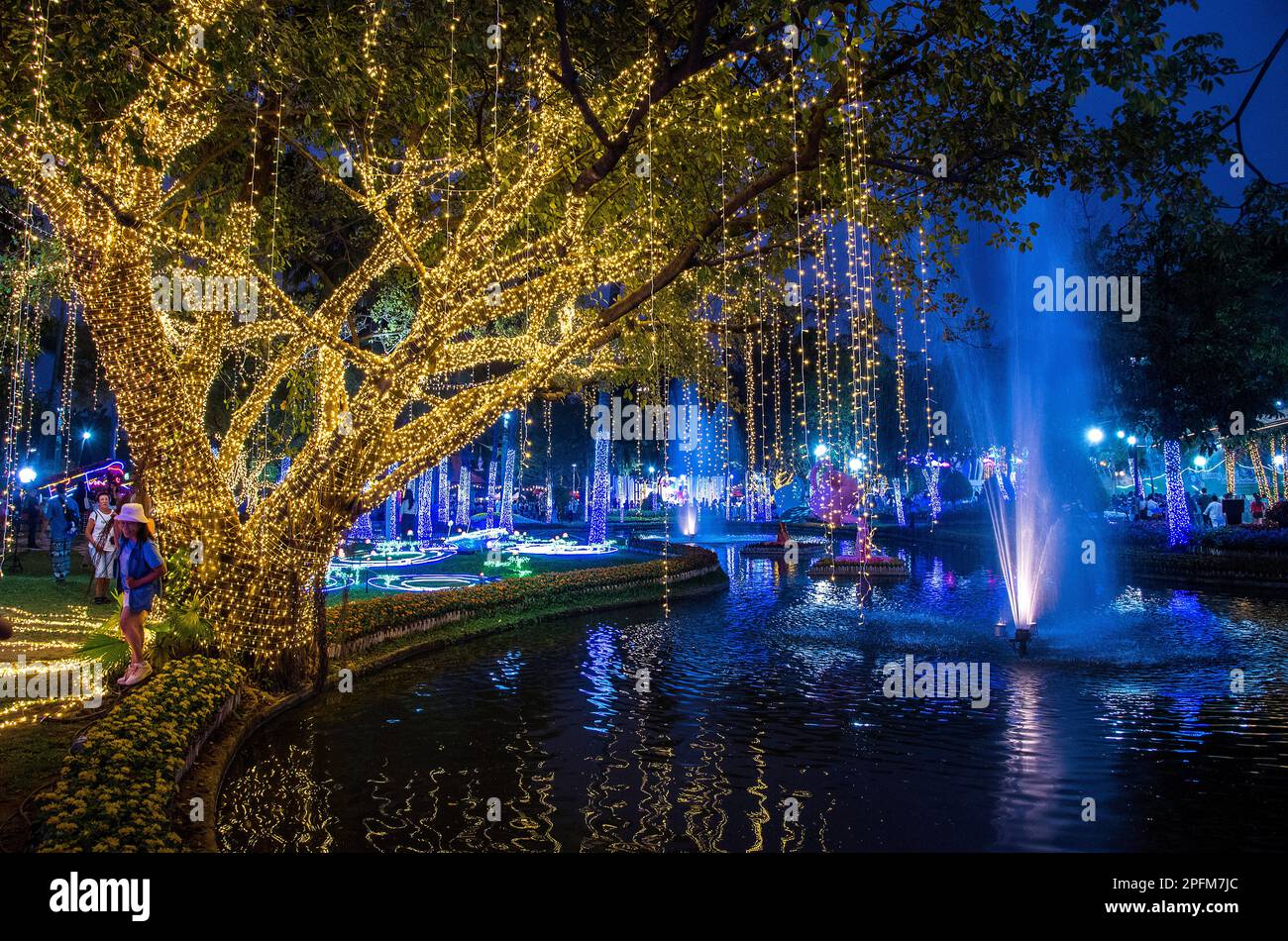 Blumenfestival in der Abenddämmerung, Nong Buak Haad Park Chiang Mai Thailand 2023 Stockfoto
