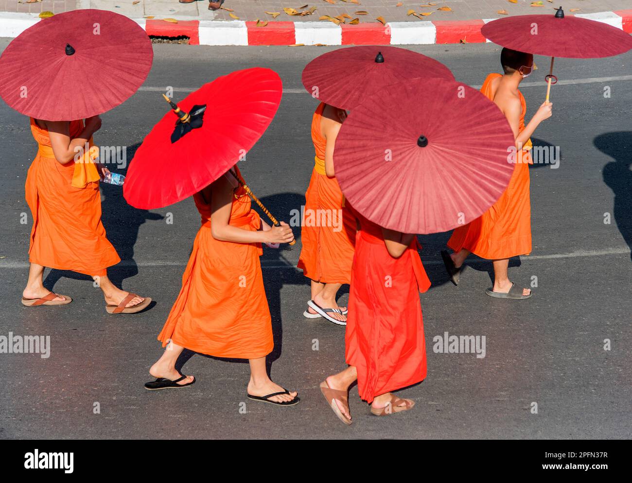 Buddhistische Mönche mit Schirmen bei einer Tempelzeremonie, Chiang Mai, Thailand Chiang Mai, Thailand Stockfoto