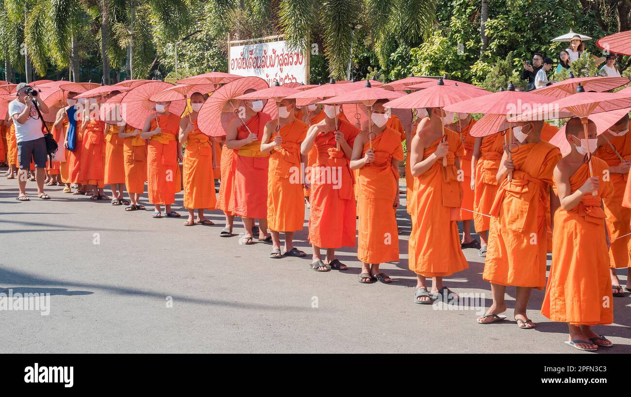 Buddhistische Mönche mit Schirmen bei einer Tempelzeremonie in Chiang Mai, Thailand Stockfoto