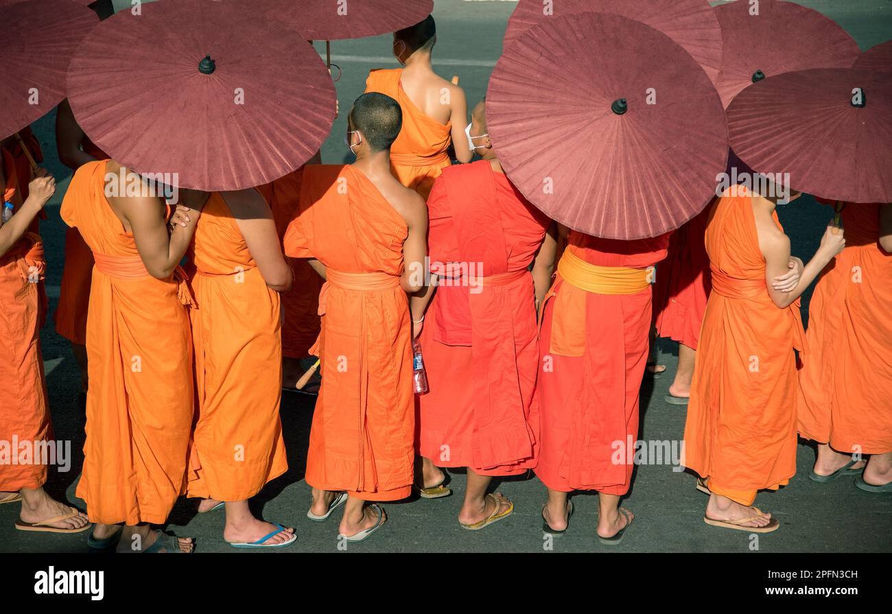 Buddhistische Mönche mit Schirmen bei einer Tempelzeremonie in Chiang Mai, Thailand Stockfoto