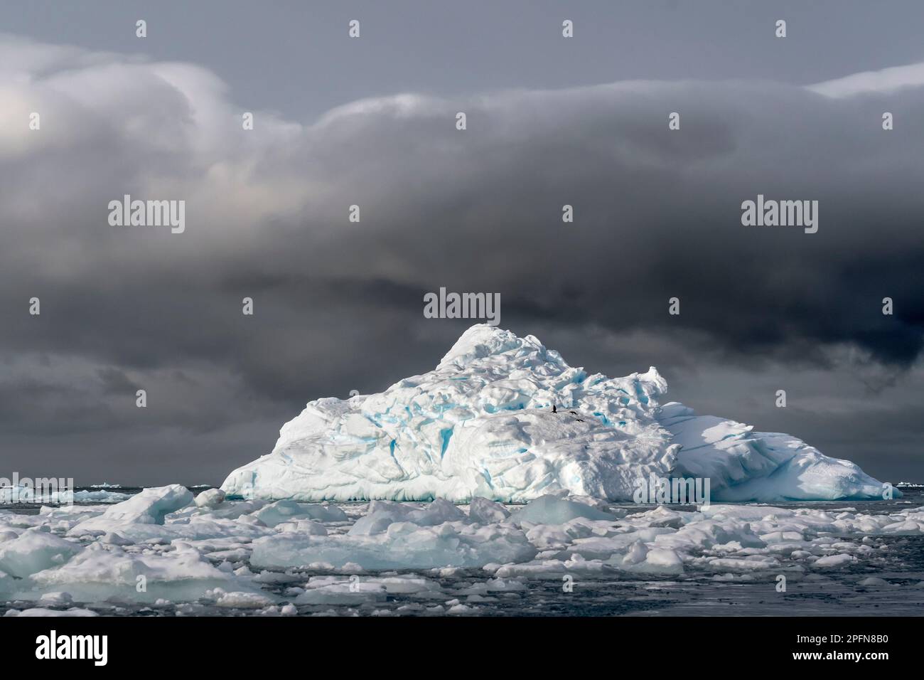 Antarktische Halbinsel, Eisberge Stockfoto