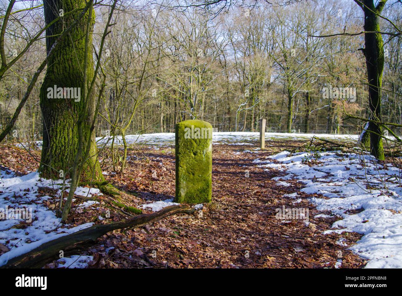 Ein alter verwitterter Grenzstein zwischen deutschland und den niederlanden Stockfoto