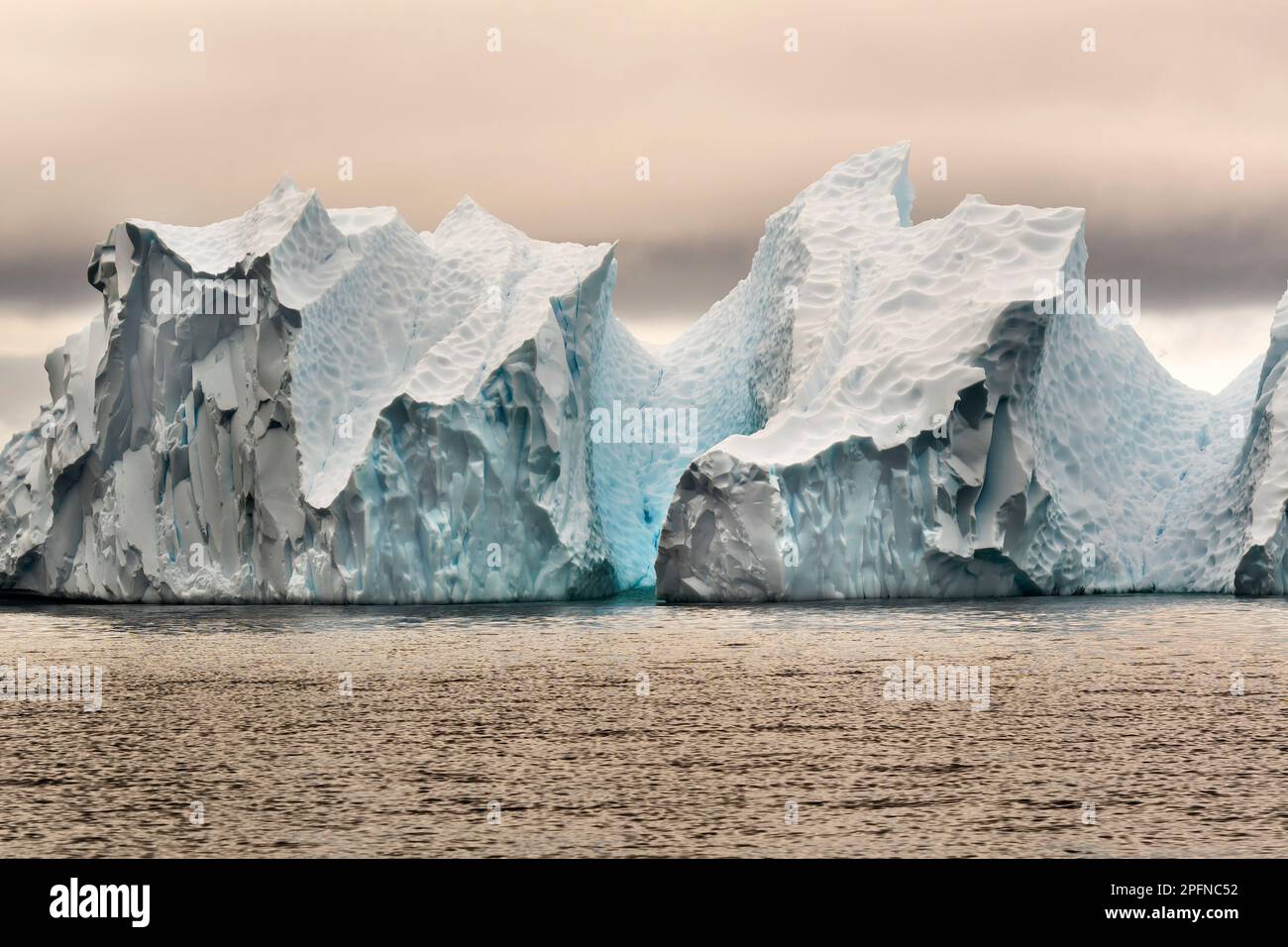 Antarktische Halbinsel, Portal Point. Eisberge Stockfoto