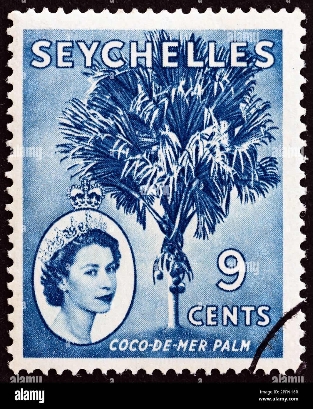 SEYCHELLEN - CIRCA 1954: Ein auf den Seychellen gedruckter Stempel zeigt die Palme Coco-de-mer (Lodoicea maldivica) und Königin Elizabeth II, circa 1954. Stockfoto