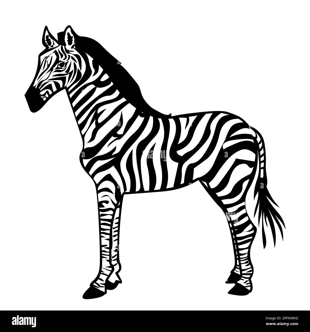 Zebra Isoliert Auf Weißem Hintergrund Stock Vektor