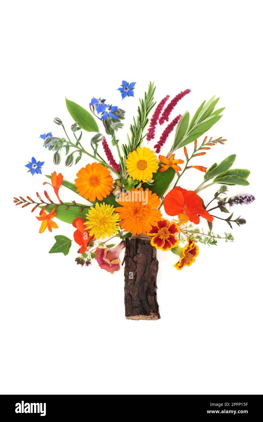 Surreale Baumformen-Zusammensetzung mit Sommerblumen, Wildblumen und Kräutern, die in der natürlichen Kräuterpflanzenmedizin verwendet werden, abstraktes Naturheilkonzept. Stockfoto