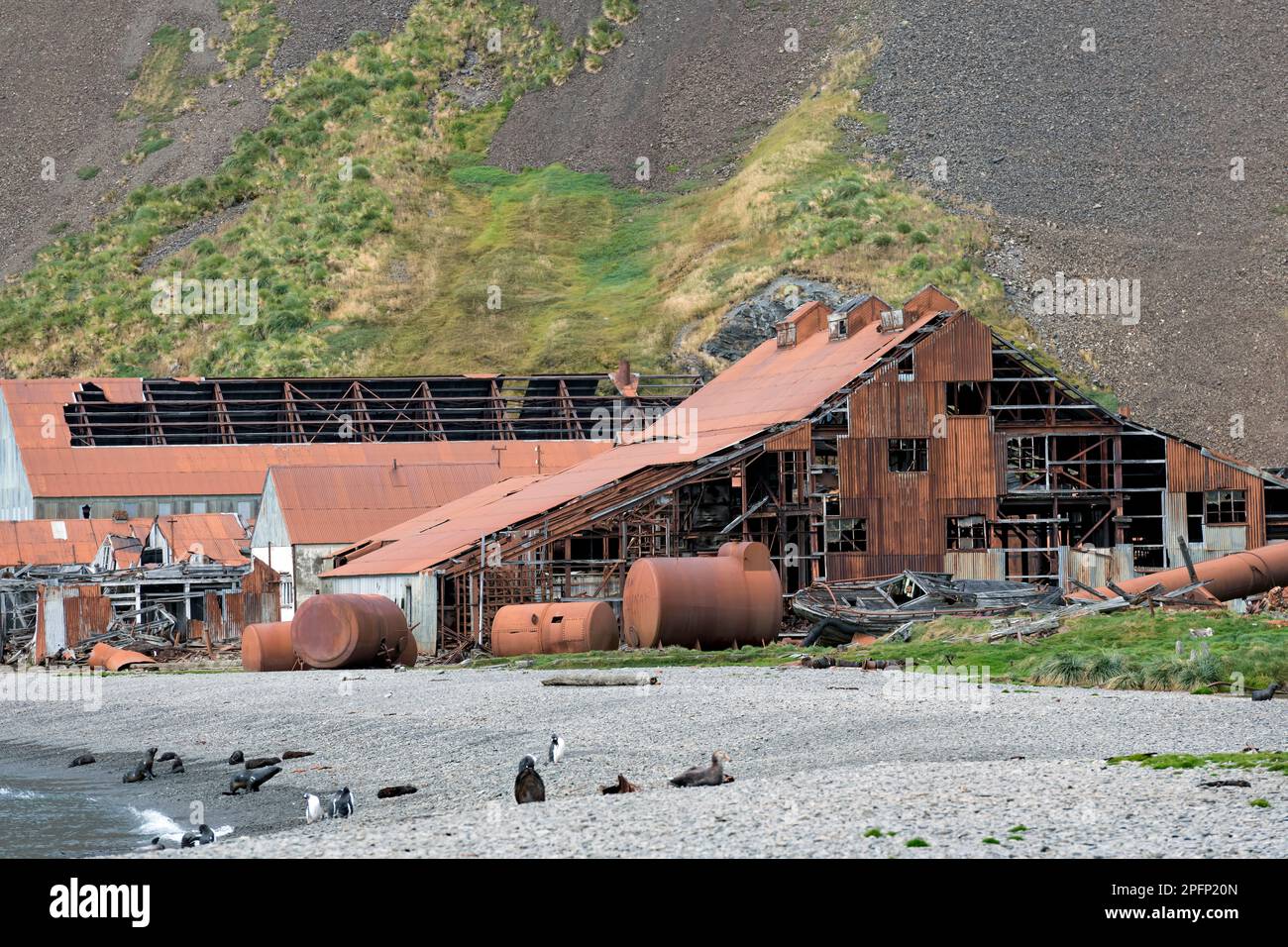 Südgeorgien, Grytviken Stockfoto