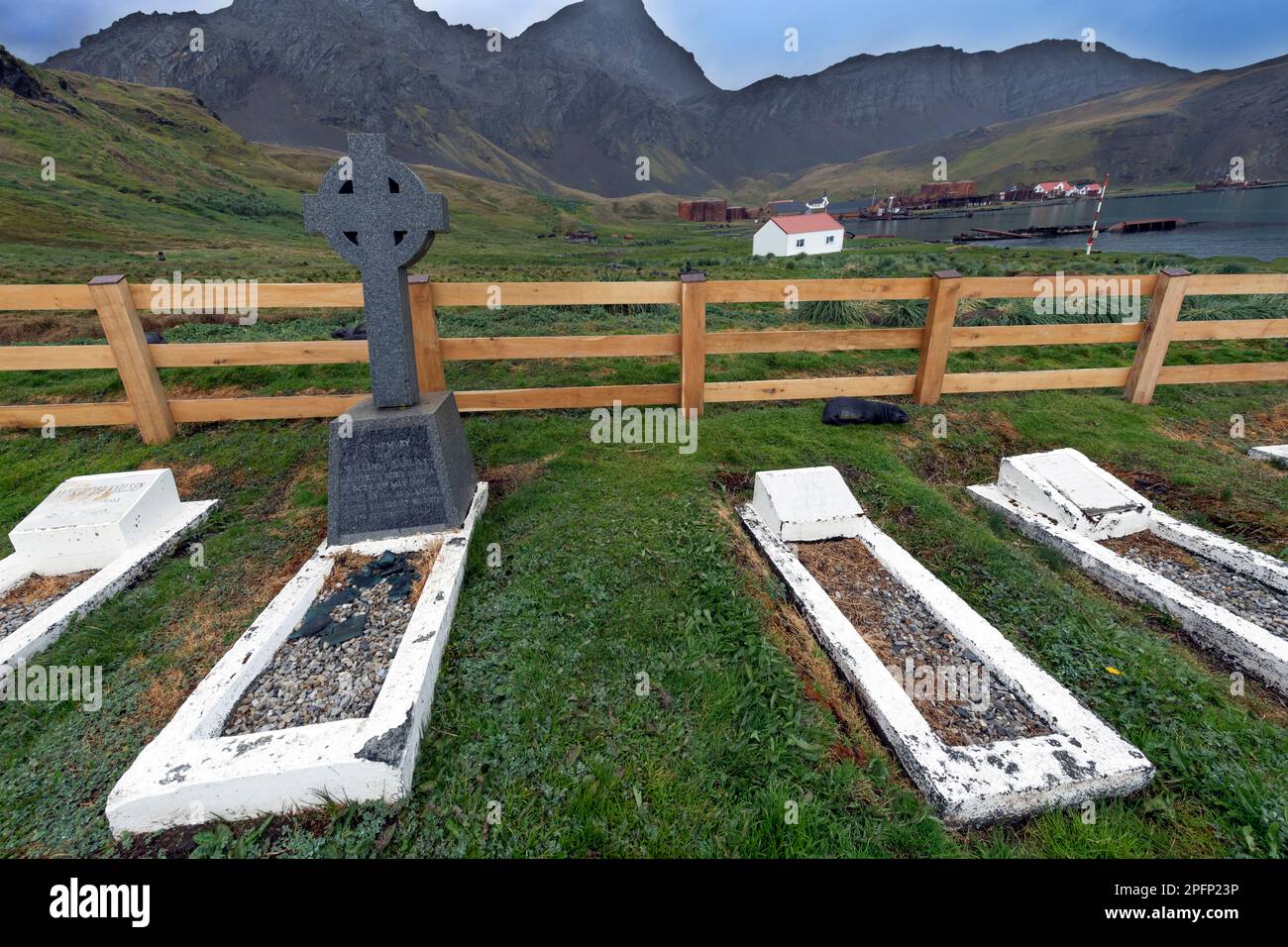 Südgeorgien, Grytviken Stockfoto