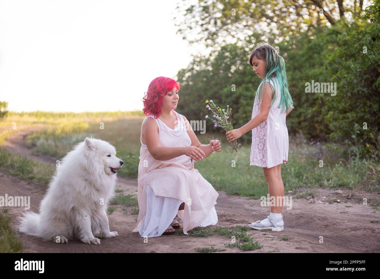 Ein Mädchen mit grünem Haar schenkt der Mutter wilde Blumen mit rosa. Reisen mit Samoyerten Hund, Haustiere in die Natur. Die Zärtlichkeit der Mutterschaft, ein Elternteil. Div Stockfoto