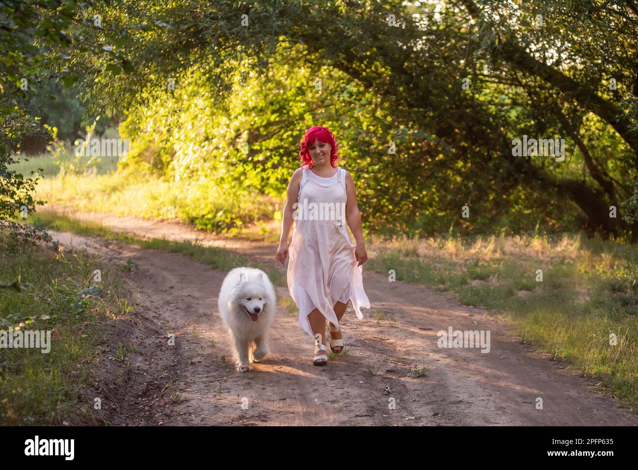 Leuchtende Diversity-Frau mit rosa Haaren wandert mit dem Samoyerten Hund im Wald entlang des Weges in den Sonnenuntergang. Kinderfreies Mädchen, Freundschaft mit Haustieren. Tr Stockfoto