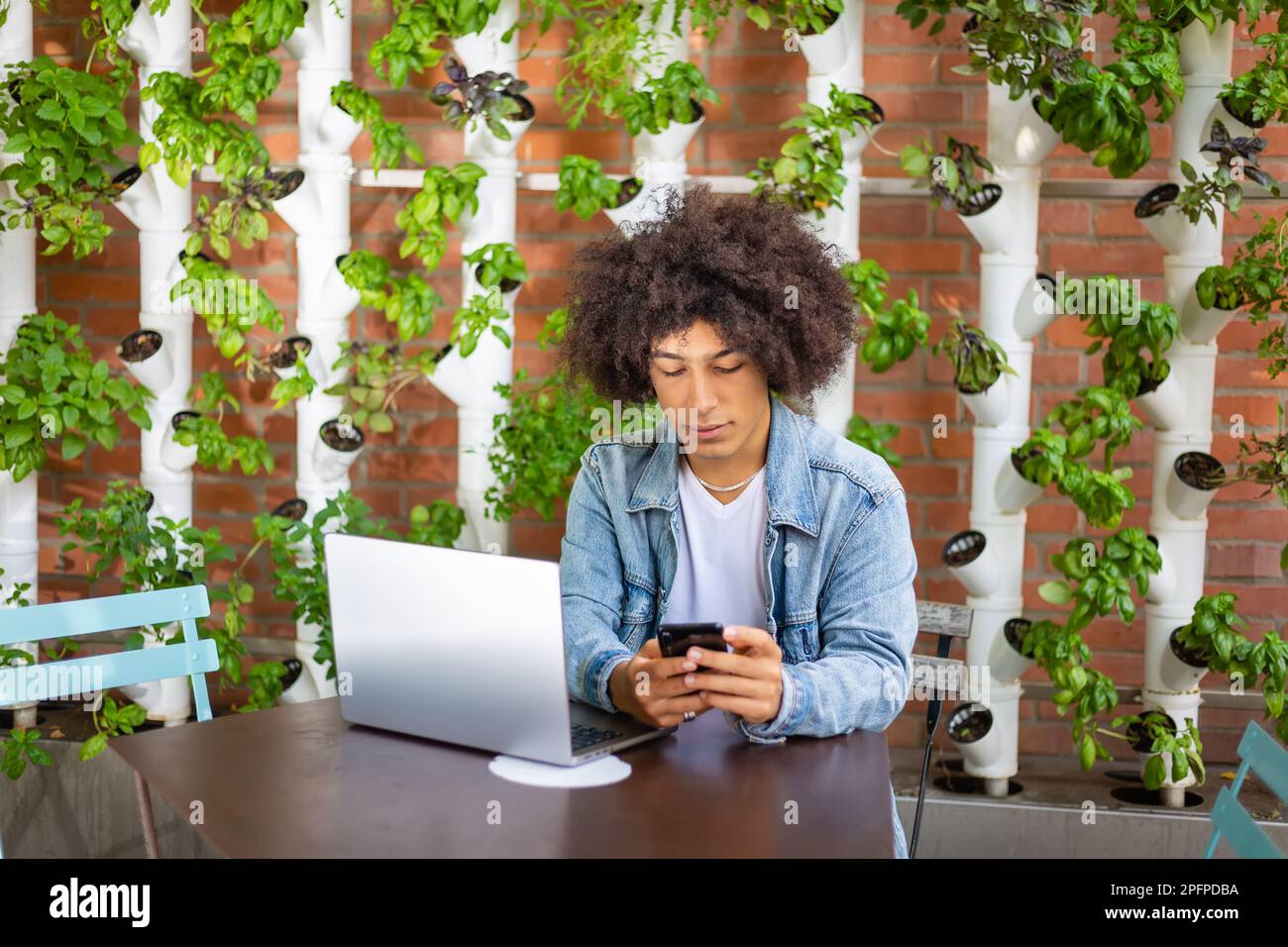 Seriöse, fokussierte ethnische Männer, die Laptop, Smartphone im Internet Café im Freien, umweltfreundlich mit Hydrofonsystemen. Kostenloser grüner, offener Platz Stockfoto