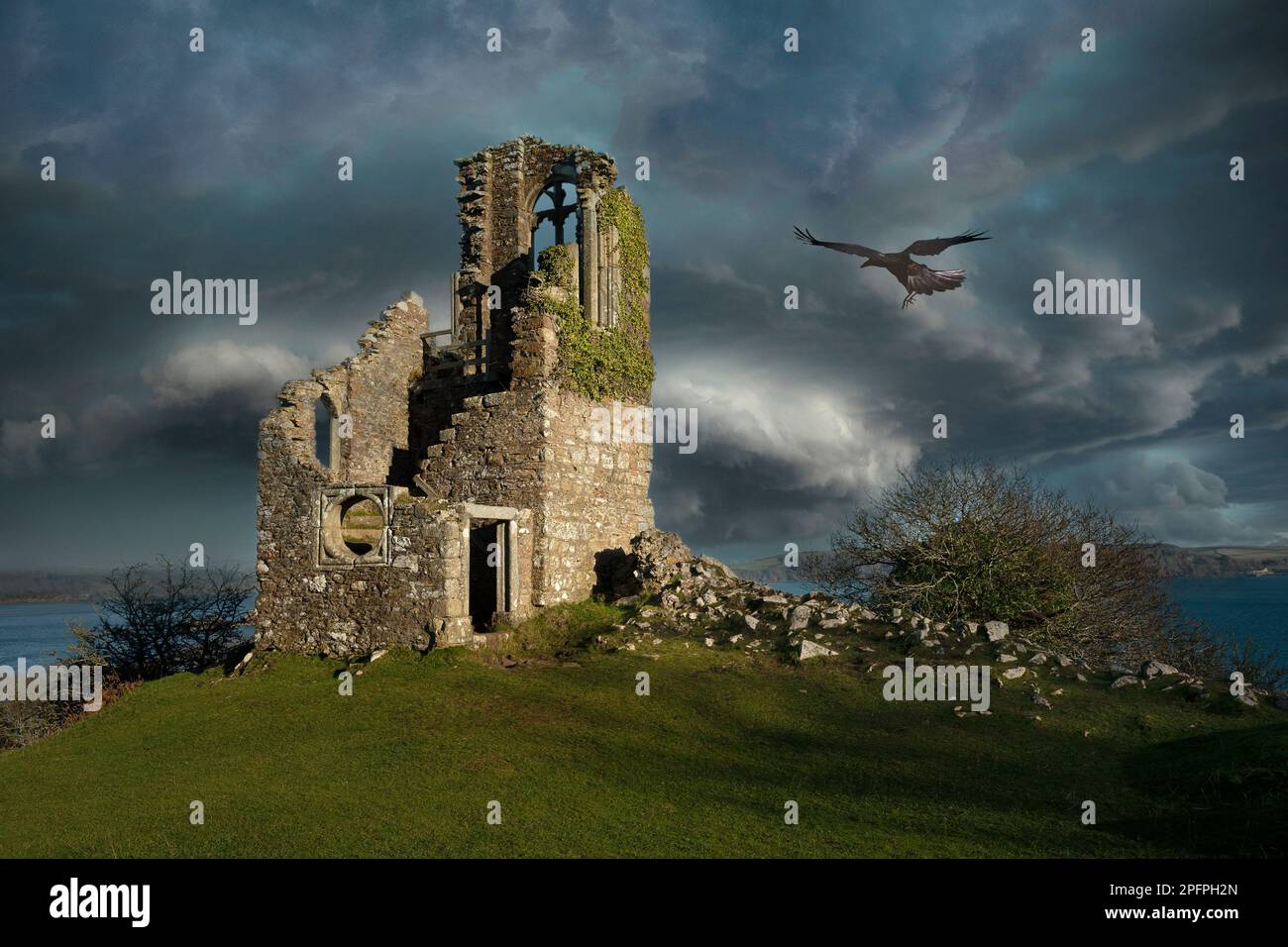 Ruine of a Folly mit Krähe Mount Edgcumbe Country Park Cornwall UK Europa Stockfoto
