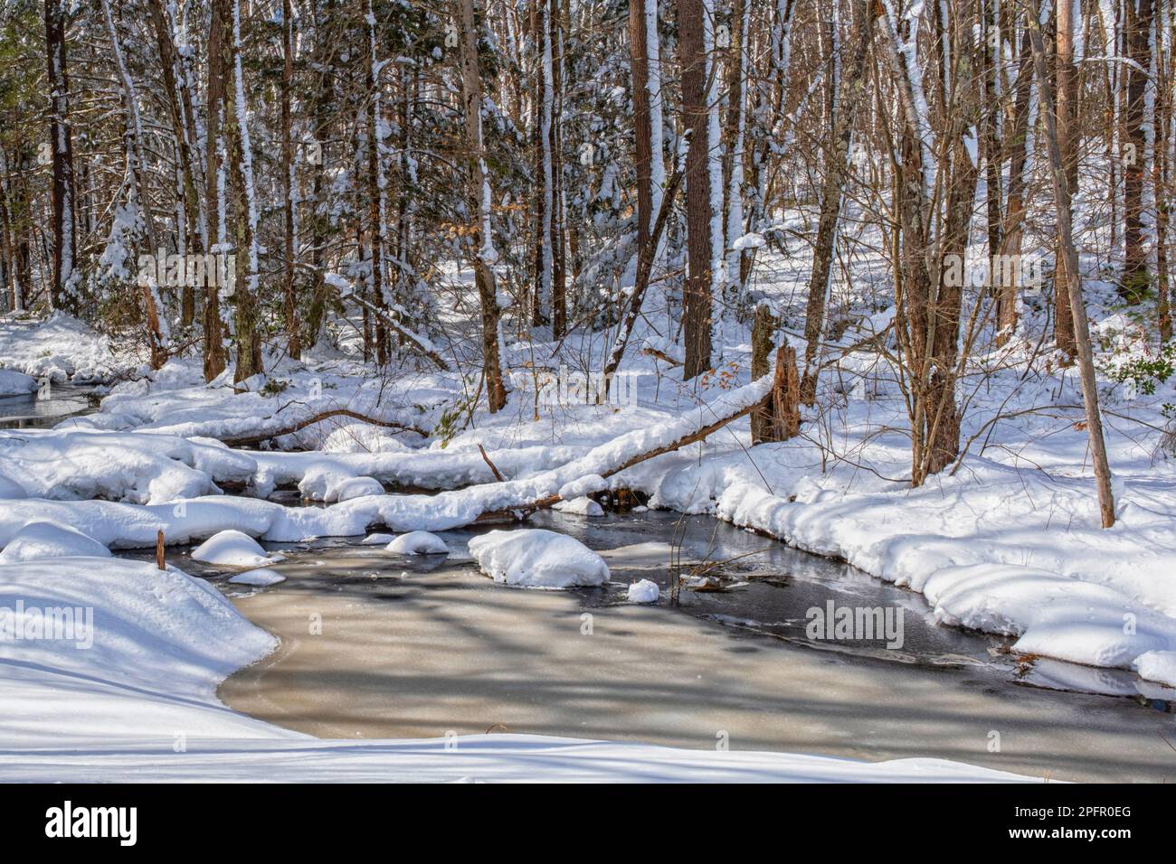 Ein Schneesturm im März 2023 warf zwei Meter Schnee in Teilen von Phillipston, Massachusetts, ab Stockfoto