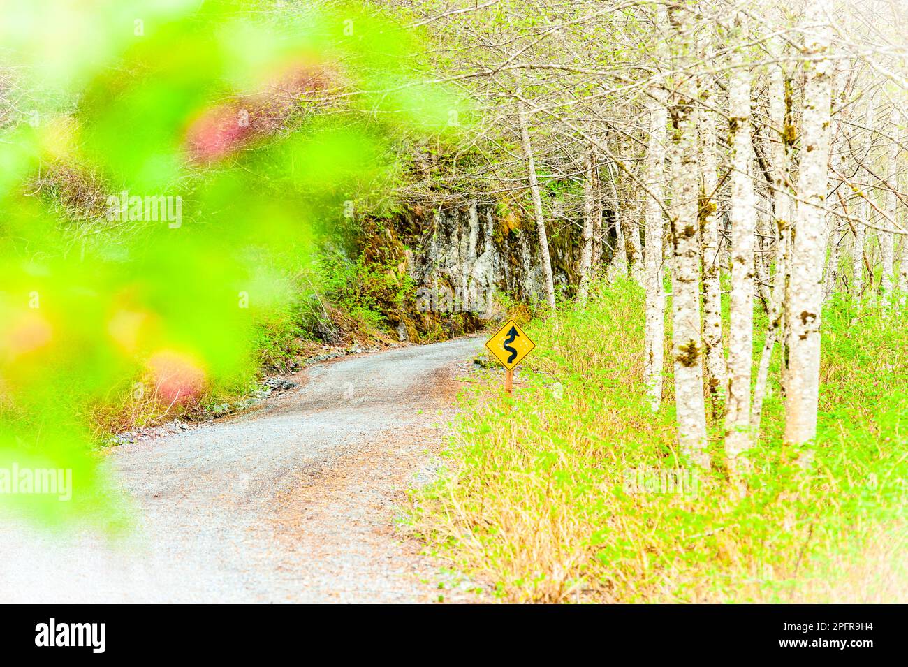 Die Blue Lake Road führt durch den Tongass National Forest zum See, Damm und Forest Service Campingplatz. Stockfoto