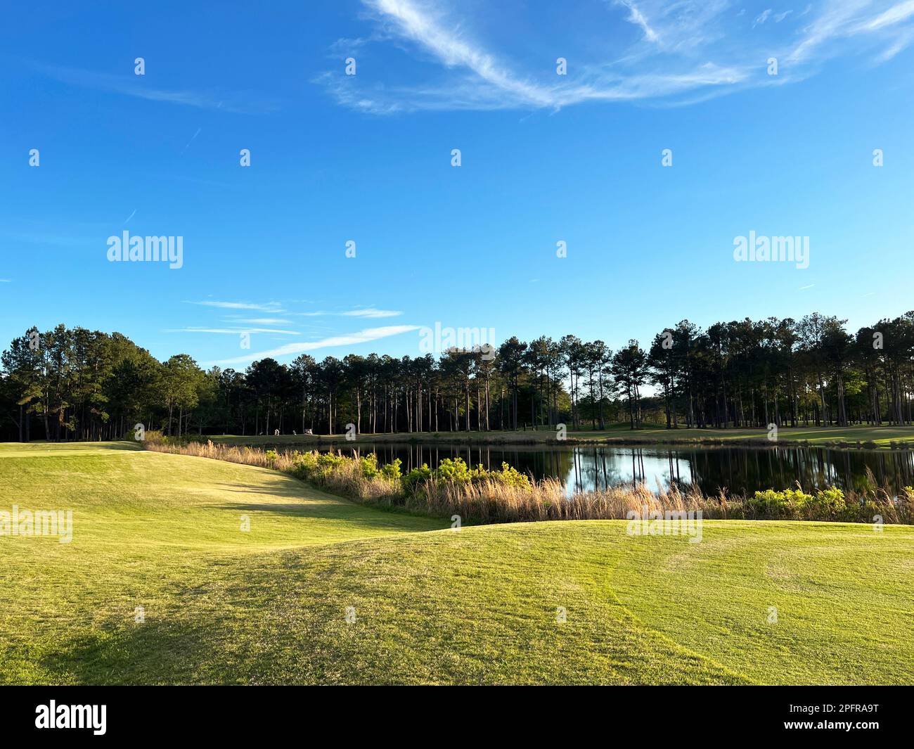 Die goldene Stunde auf einem Golfplatz im Georgia State Park, einem beliebten Golfziel im Süden der USA. Stockfoto