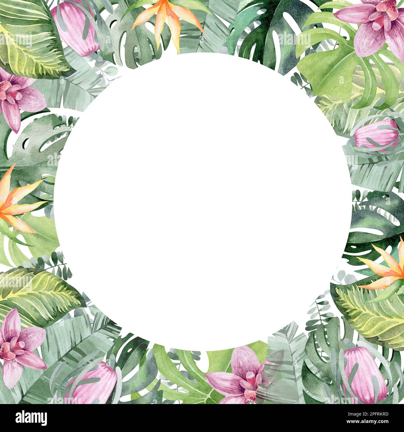 Rahmen in Aquarellfarben mit Blumenmuster. Rahmen aus tropischen Blumen. Werke Australiens und Afrikas. Für das Design von Weihnachtskarten, Geburtstag, Hochzeit Stockfoto