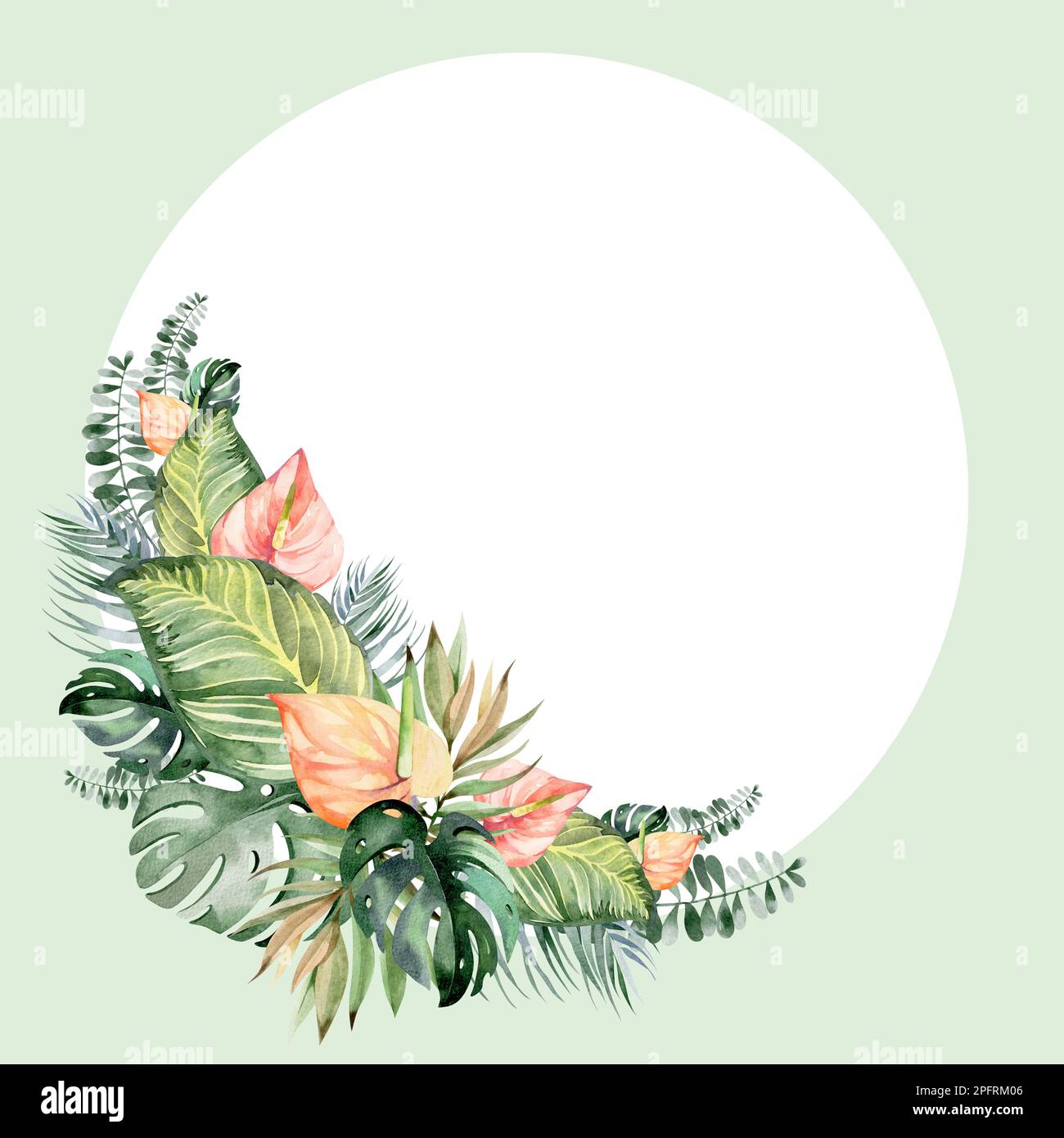 Rahmen in Aquarellfarben mit Blumenmuster. Rahmen aus tropischen Blumen. Werke Australiens und Afrikas. Für das Design von Weihnachtskarten, Geburtstag, Hochzeit Stockfoto