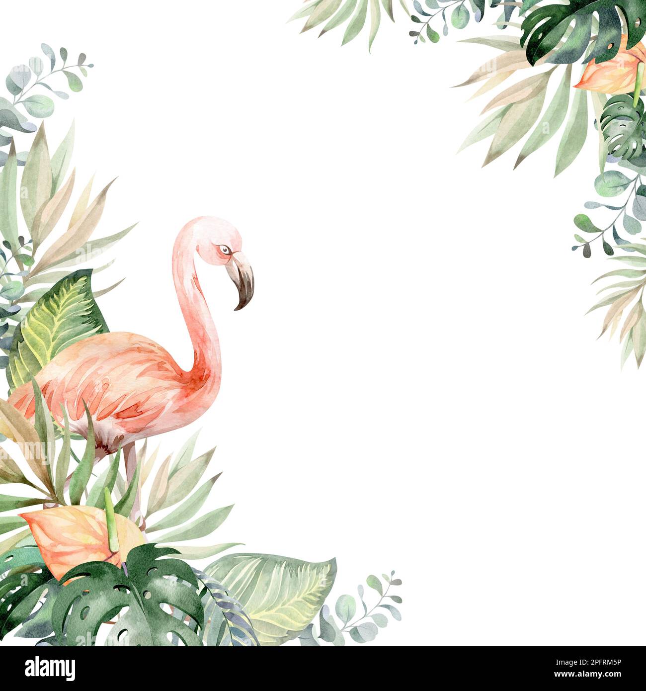 Rahmen in Aquarellfarben mit Blumenmuster. Rahmen aus tropischen Blumen. Werke Australiens und Afrikas. Für das Design von Weihnachtskarten, Geburtstag, Hochzeit Stockfoto