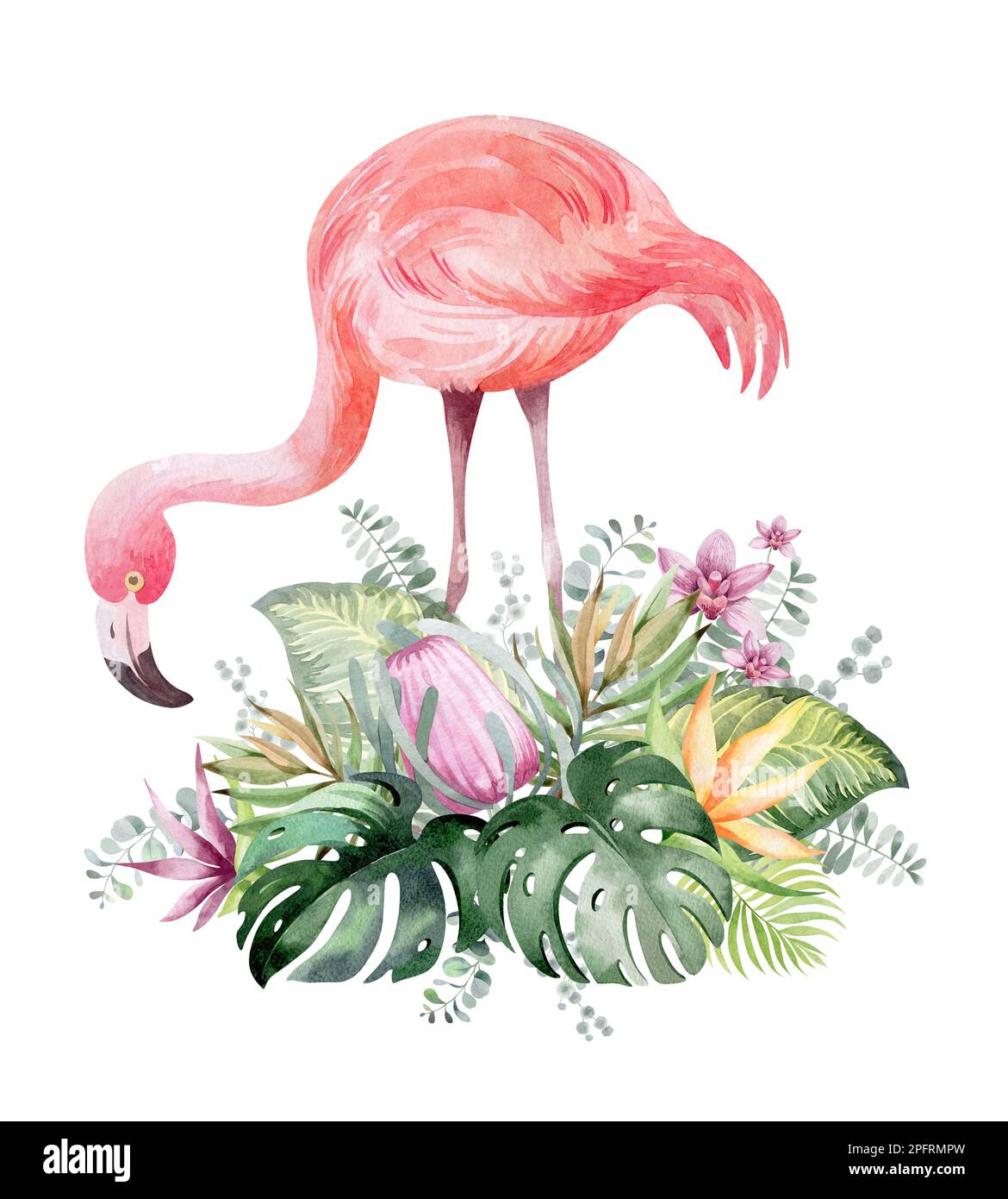 Rahmen in Aquarellfarben mit Blumenmuster. Rahmen aus tropischen Blumen und Blättern mit Flamingo-Vögeln. Werke Australiens und Afrikas. Für die Gestaltung von Urlaubskarten, Stockfoto