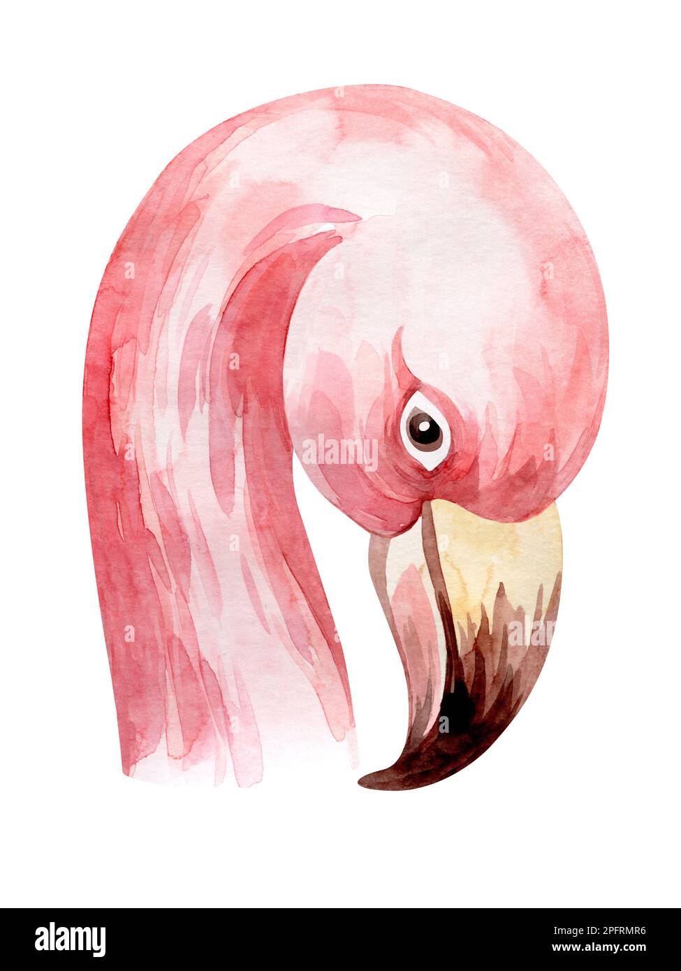 Rahmen in Aquarellfarben mit Blumenmuster. Rahmen aus tropischen Blumen und Blättern mit Flamingo-Vögeln. Werke Australiens und Afrikas. Für die Gestaltung von Urlaubskarten, Stockfoto