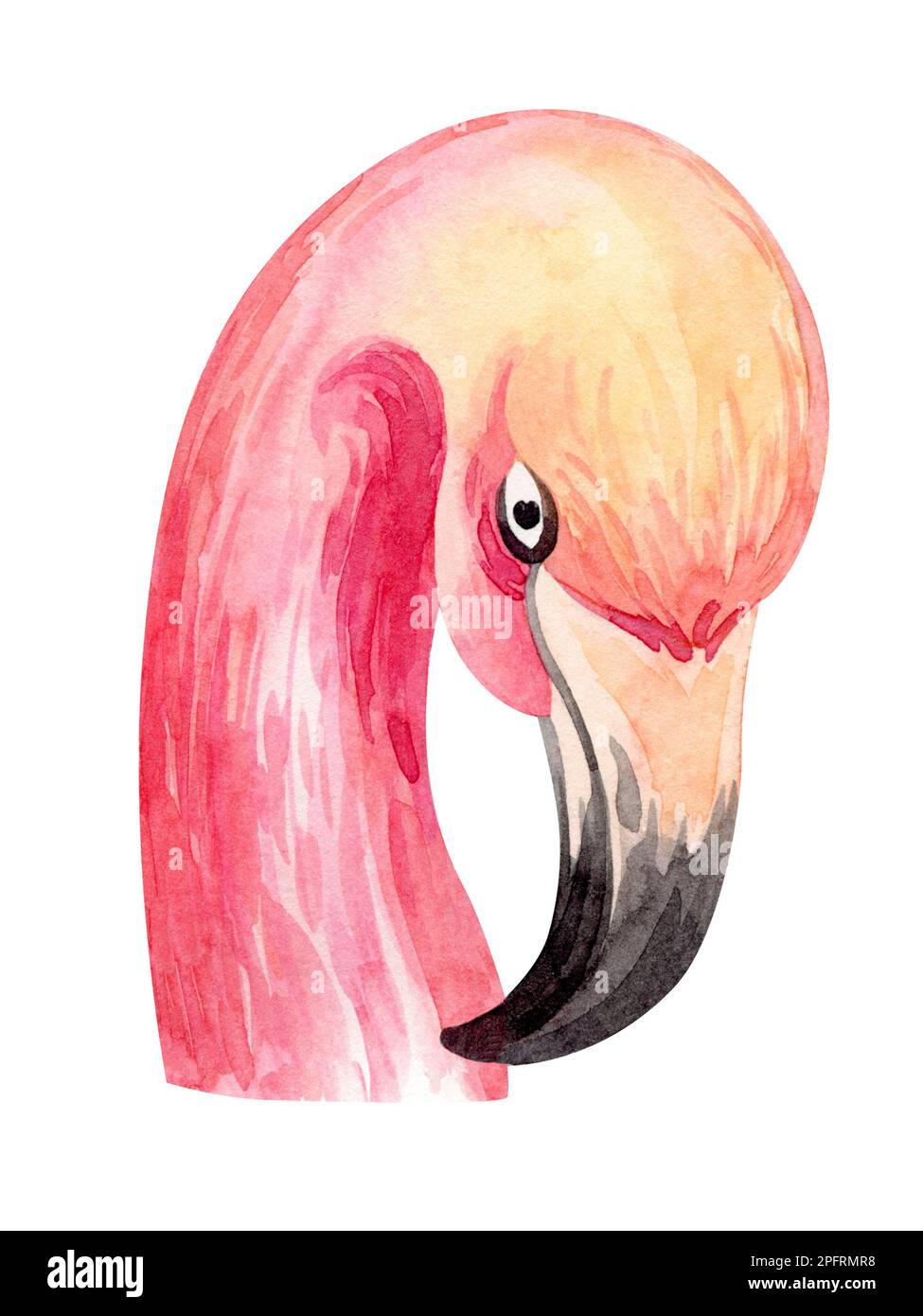 Rahmen in Aquarellfarben mit Blumenmuster. Rahmen aus tropischen Blumen und Blättern mit Flamingo-Vögeln. Werke Australiens und Afrikas. Für die Gestaltung von Urlaubskarten, Stockfoto