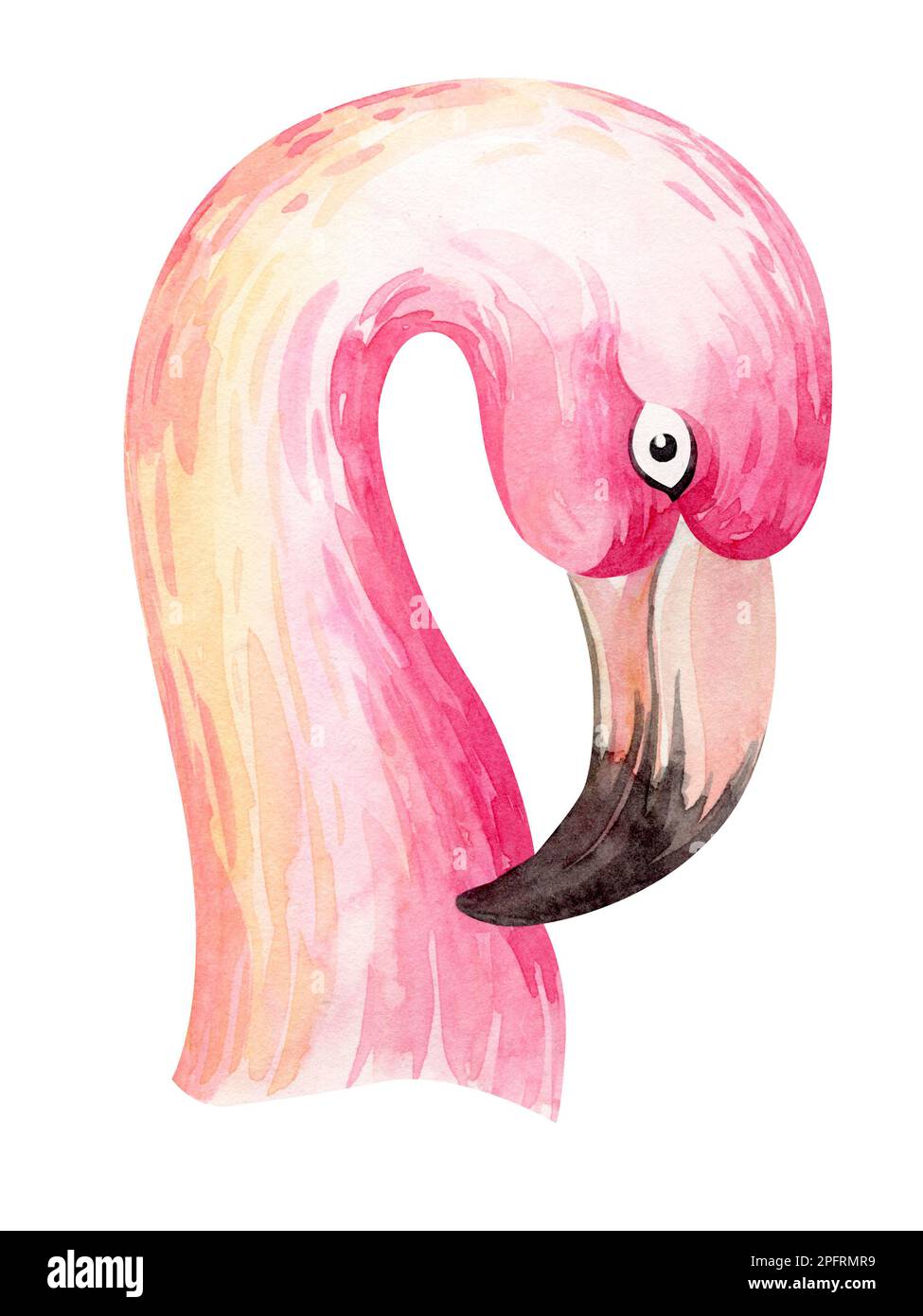 Rahmen in Aquarellfarben mit Blumenmuster. Rahmen aus tropischen Blumen und Blättern mit Flamingo-Vögeln. Werke Australiens und Afrikas. Für die Gestaltung von Urlaubskarten, Stockfoto