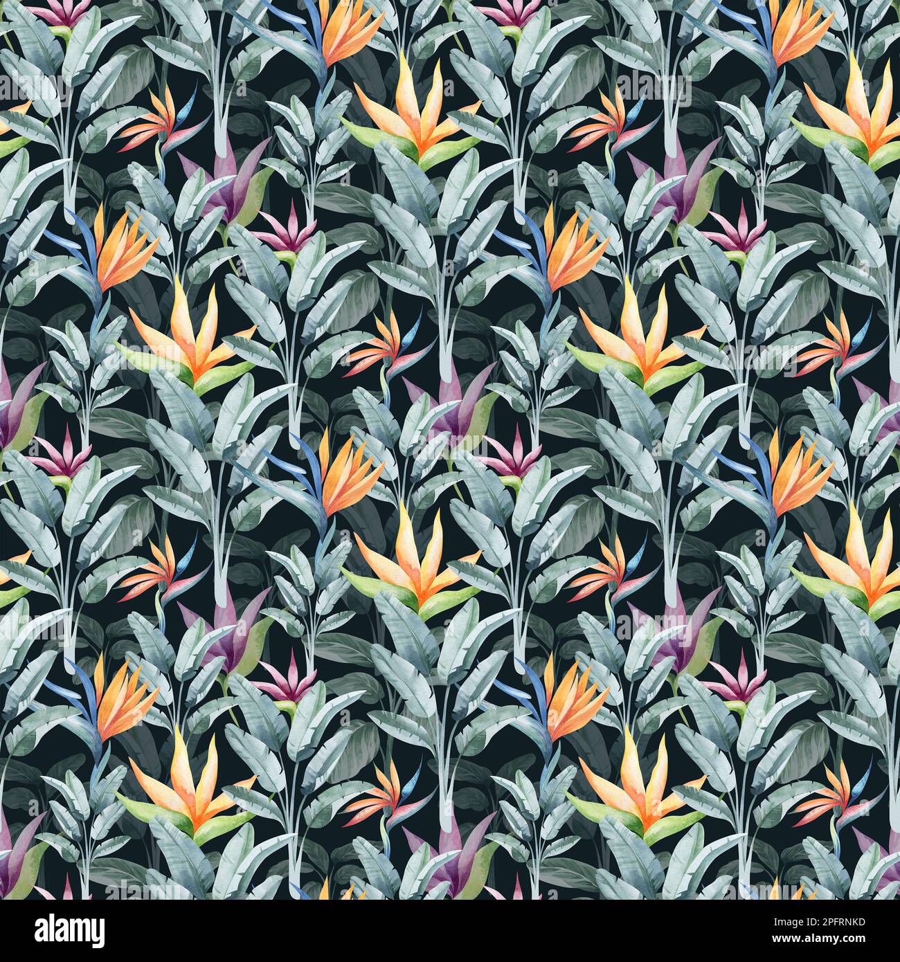 Nahtloses Aquarell-Muster. Blumiger Hintergrund tropische Blüten und Blätter mit Flamingo-Vögeln. Pflanzen und Blumen Australiens. Rosa Flammen Stockfoto