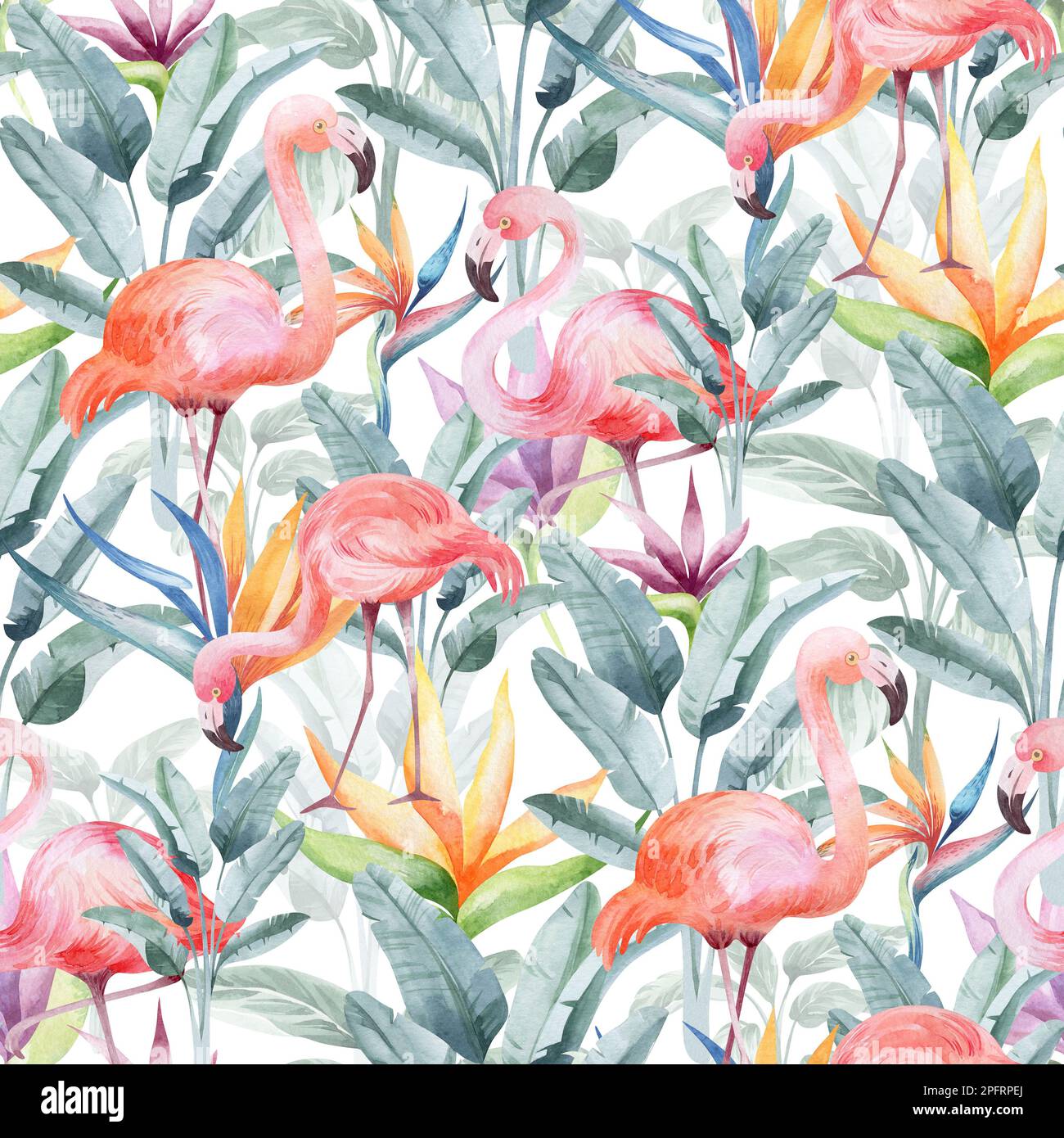Nahtloses Aquarell-Muster. Blumiger Hintergrund tropische Blüten und Blätter mit Flamingo-Vögeln. Pflanzen und Blumen Australiens. Rosa Flammen Stockfoto
