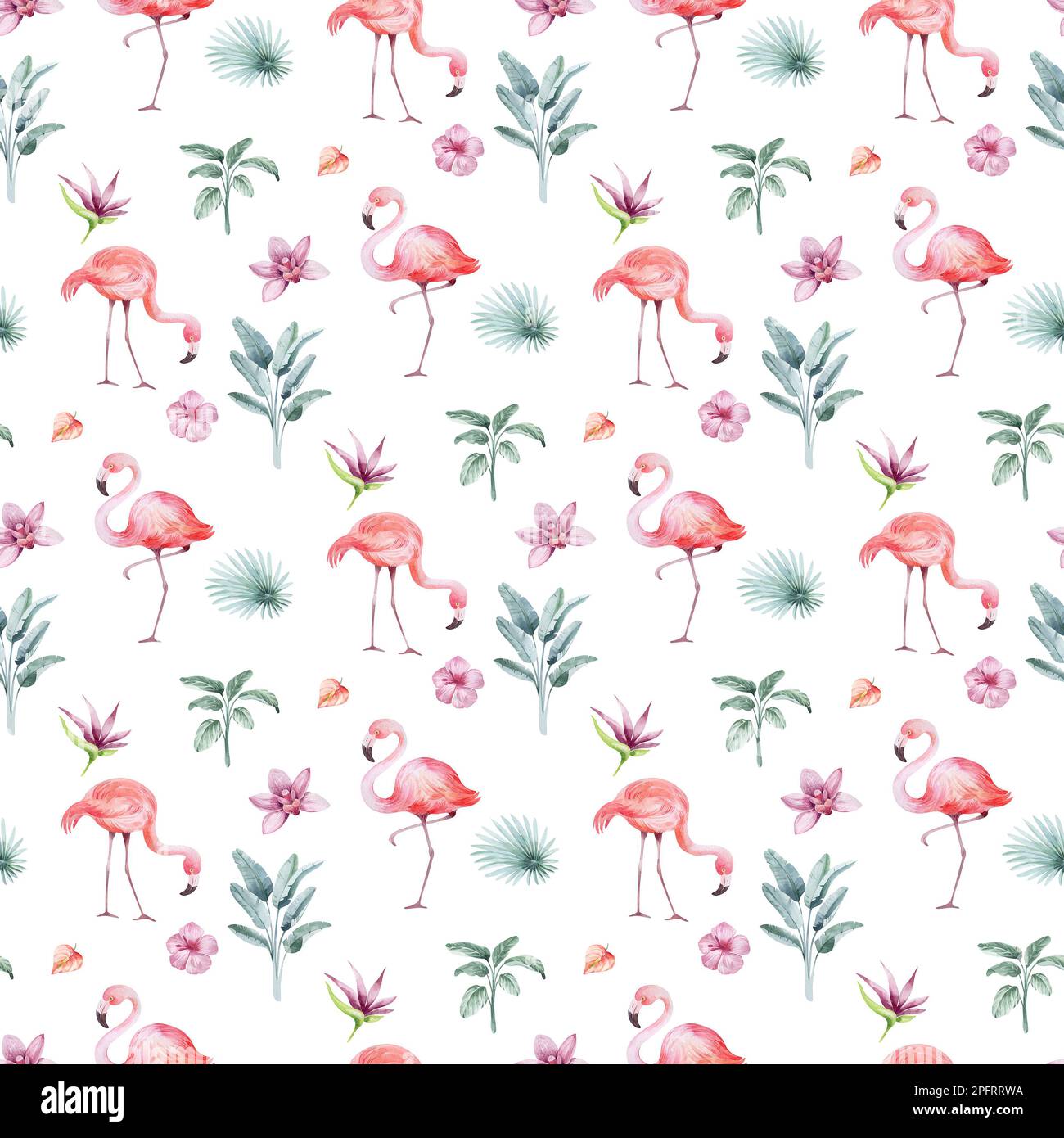 Nahtloses Aquarell-Muster. Blumiger Hintergrund tropische Blüten und Blätter mit Flamingo-Vögeln. Pflanzen und Blumen Australiens. Rosa Flammen Stockfoto