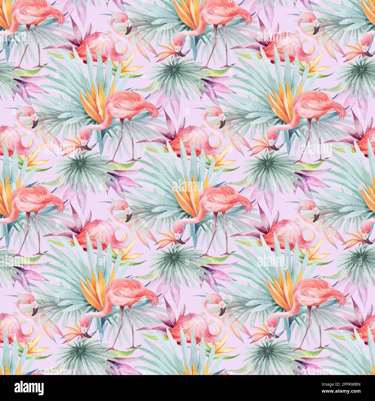 Nahtloses Aquarell-Muster. Blumiger Hintergrund tropische Blüten und Blätter mit Flamingo-Vögeln. Pflanzen und Blumen Australiens. Rosa Flammen Stockfoto
