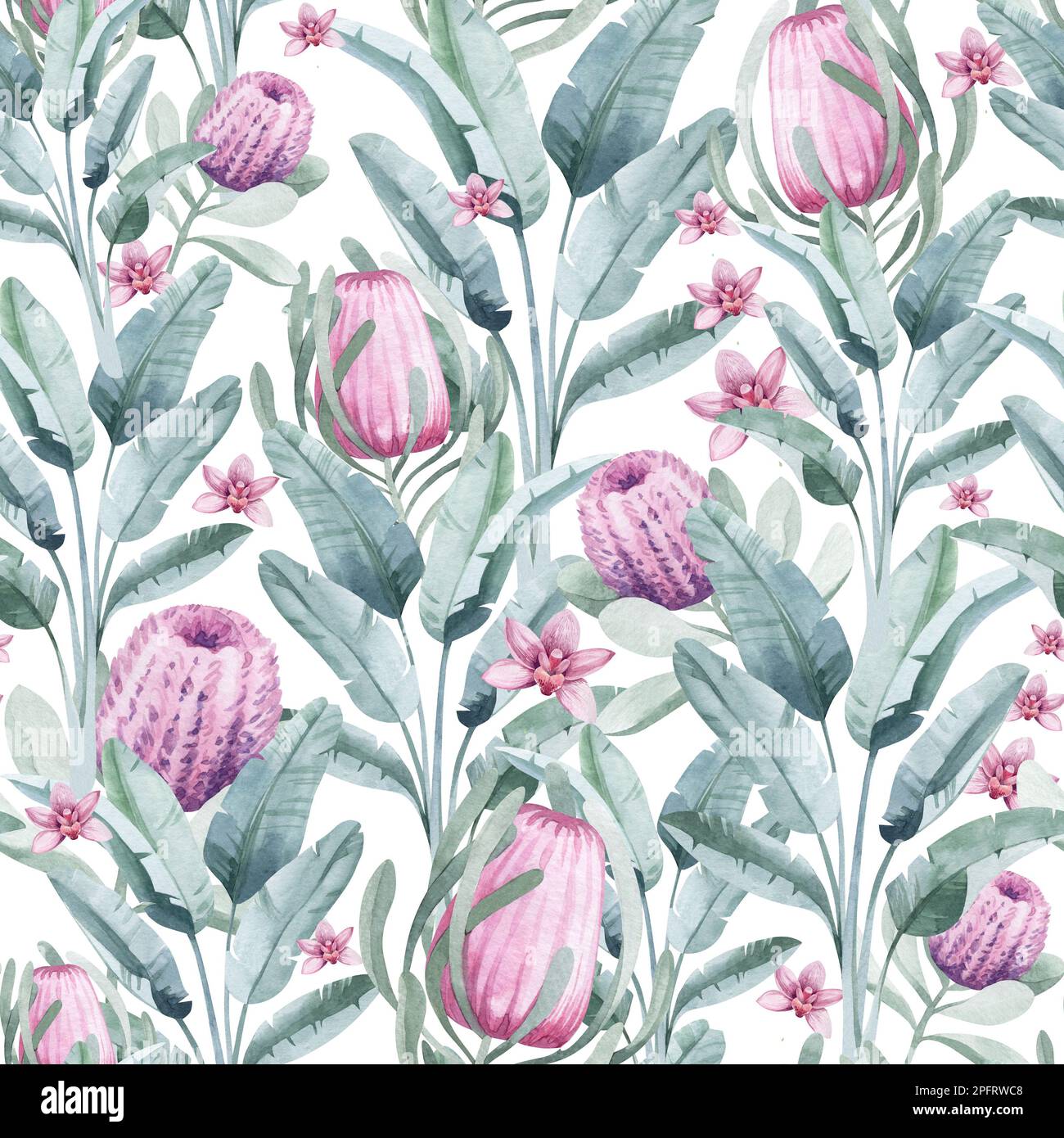 Nahtloses Aquarell-Muster. Blumiger Hintergrund tropische Blüten und Blätter mit Flamingo-Vögeln. Pflanzen und Blumen Australiens. Rosa Flammen Stockfoto