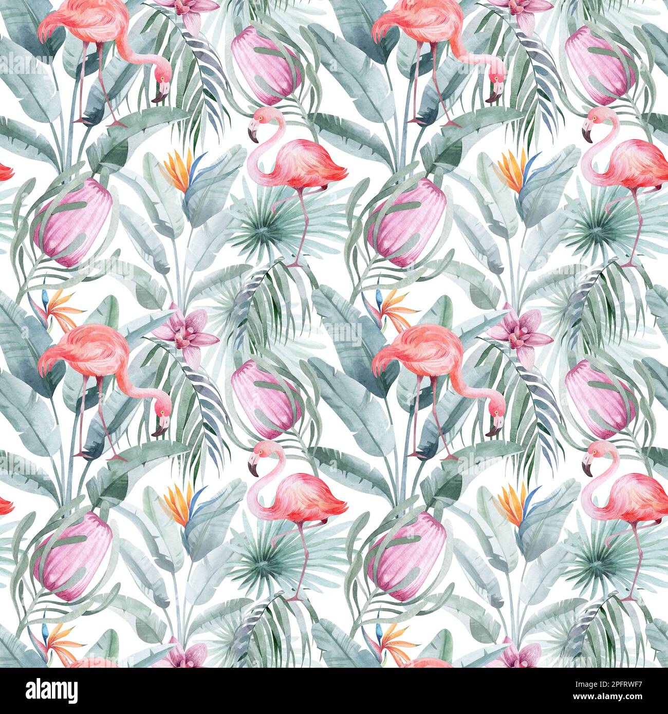 Nahtloses Aquarell-Muster. Blumiger Hintergrund tropische Blüten und Blätter mit Flamingo-Vögeln. Pflanzen und Blumen Australiens. Rosa Flammen Stockfoto