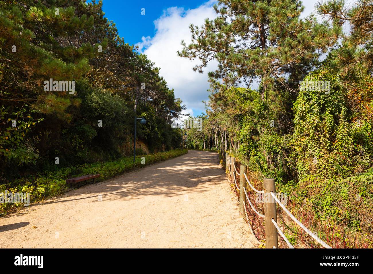 Jogging- oder Wanderweg im öffentlichen Park. Haciosman oder Atatürk City Forest in Istanbul. Stockfoto